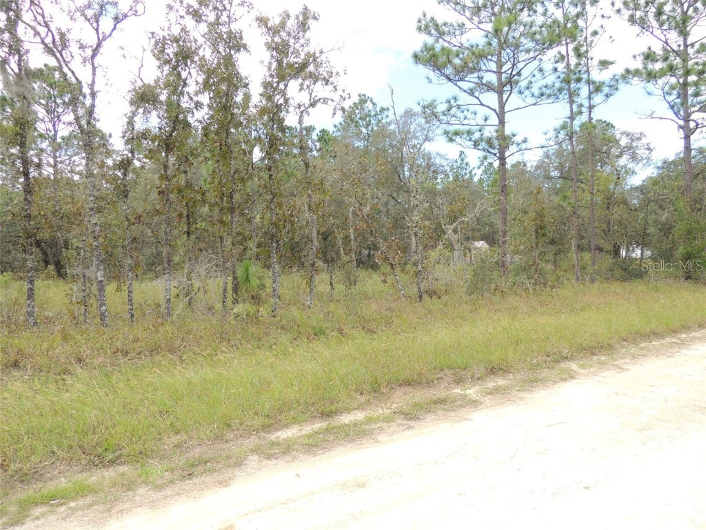 690 NE 135th Court Williston FL 32696 OM686851 image6