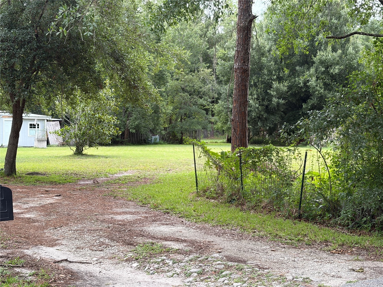 6900 Angus Valley Drive Wesley Chapel FL 33544 TB8528820 image1