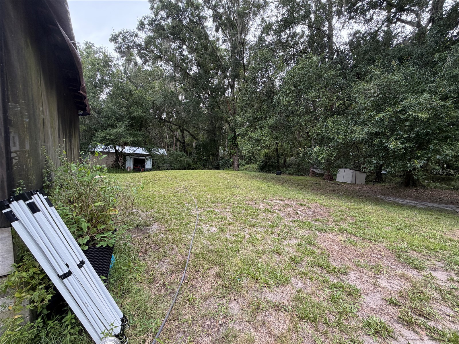 6900 Angus Valley Drive Wesley Chapel FL 33544 TB8528820 image11