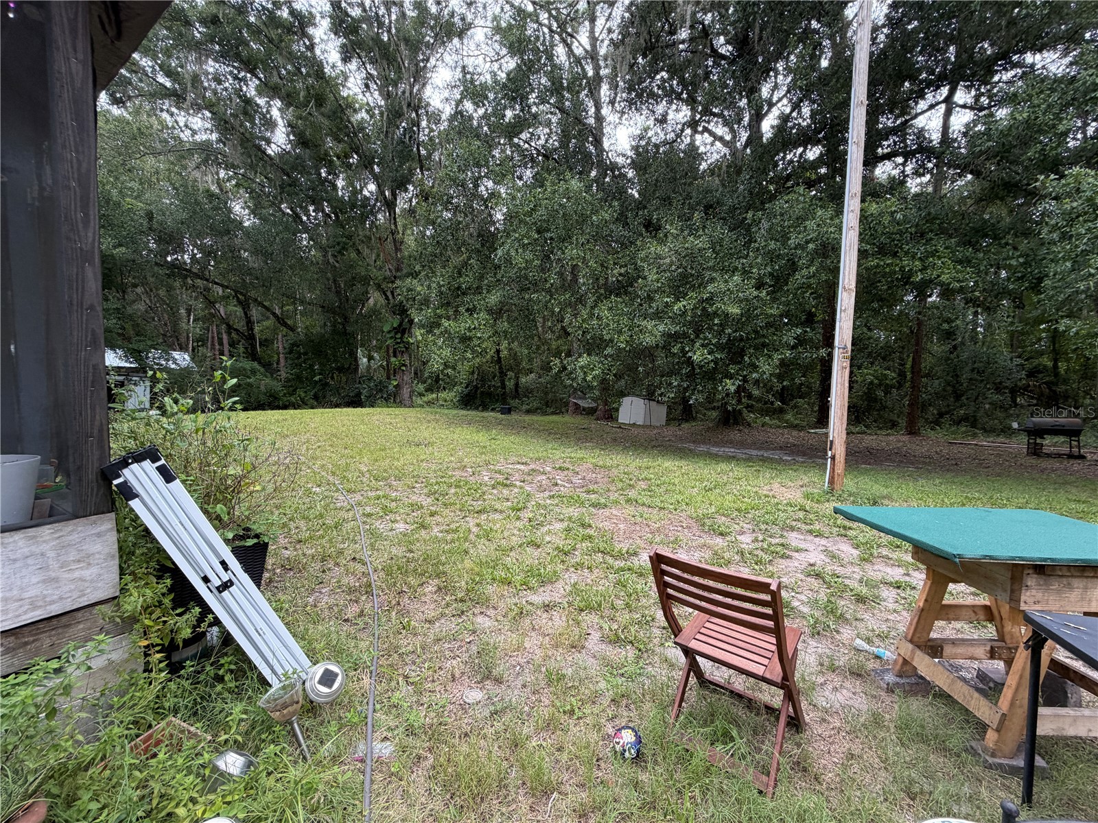 6900 Angus Valley Drive Wesley Chapel FL 33544 TB8528820 image12