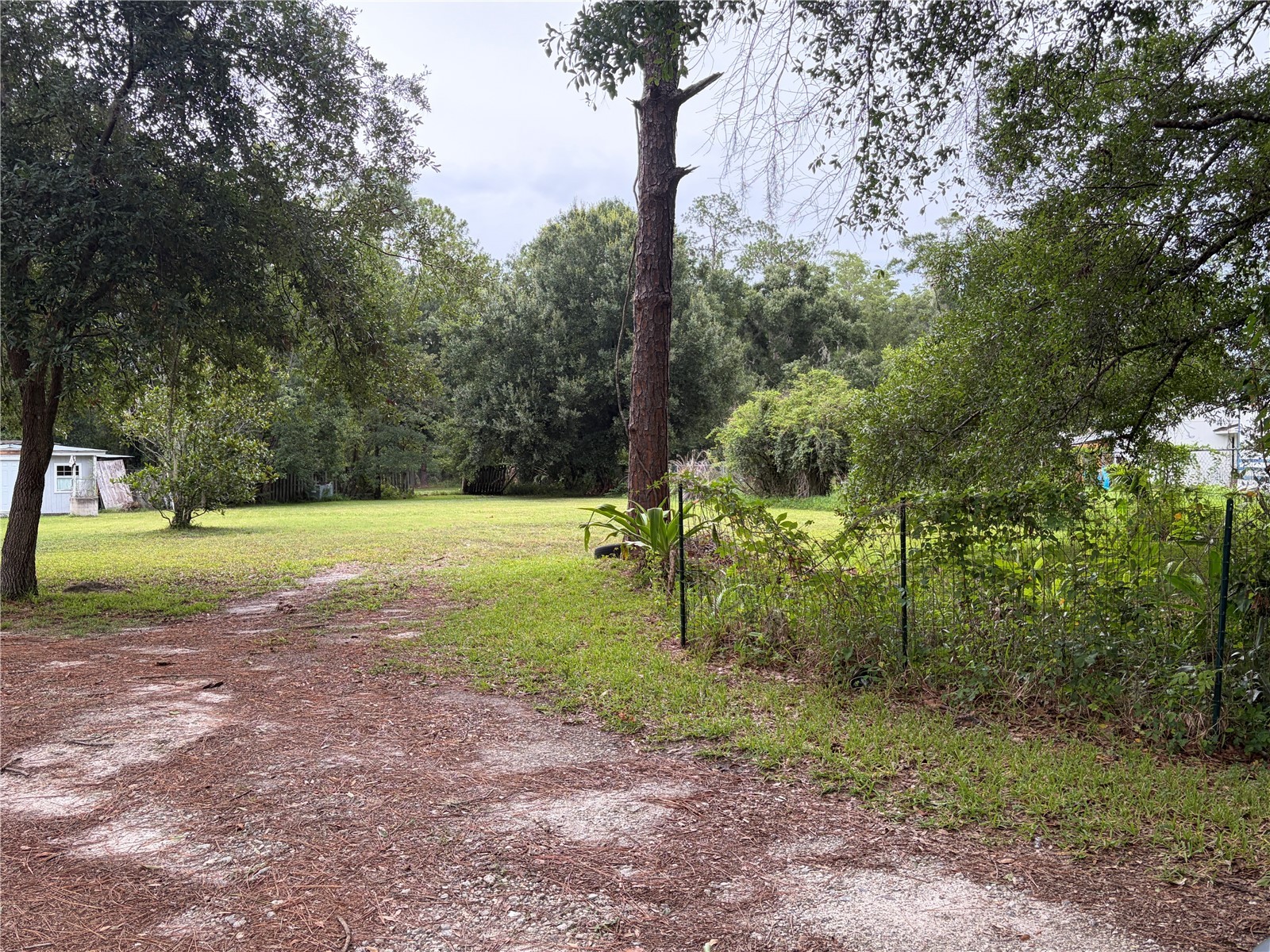 6900 Angus Valley Drive Wesley Chapel FL 33544 TB8528820 image2