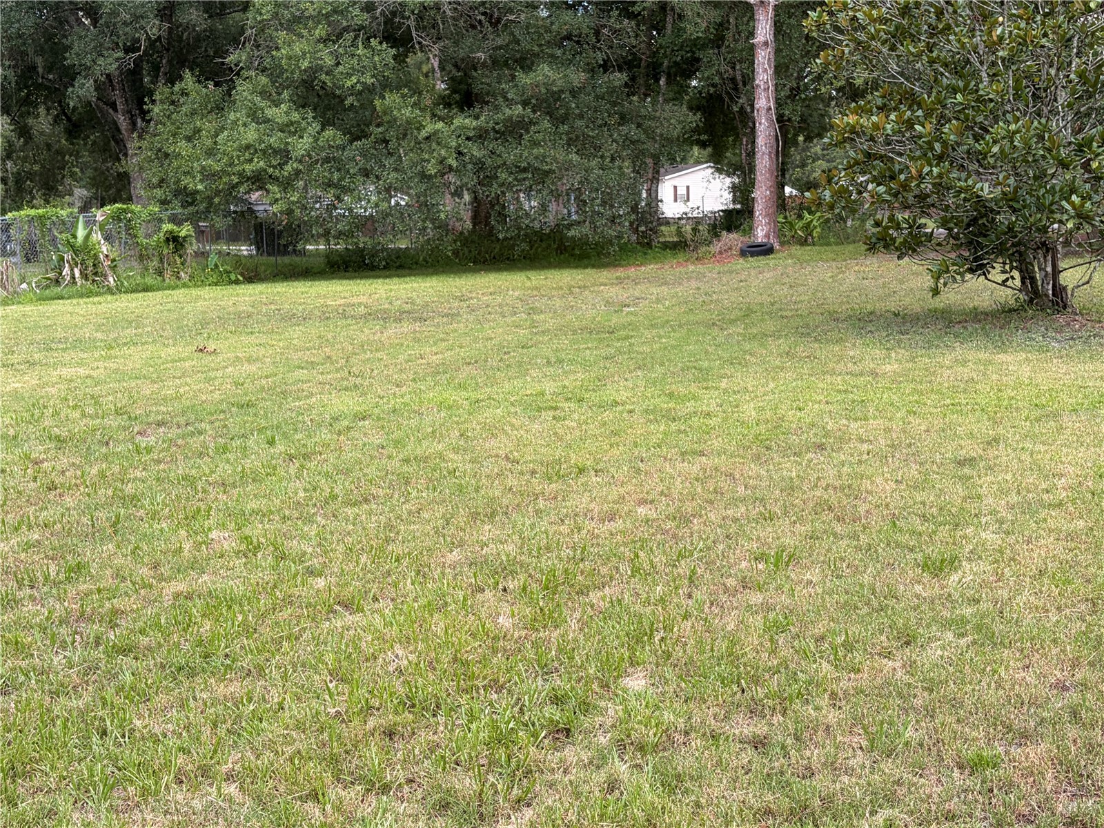 6900 Angus Valley Drive Wesley Chapel FL 33544 TB8528820 image8