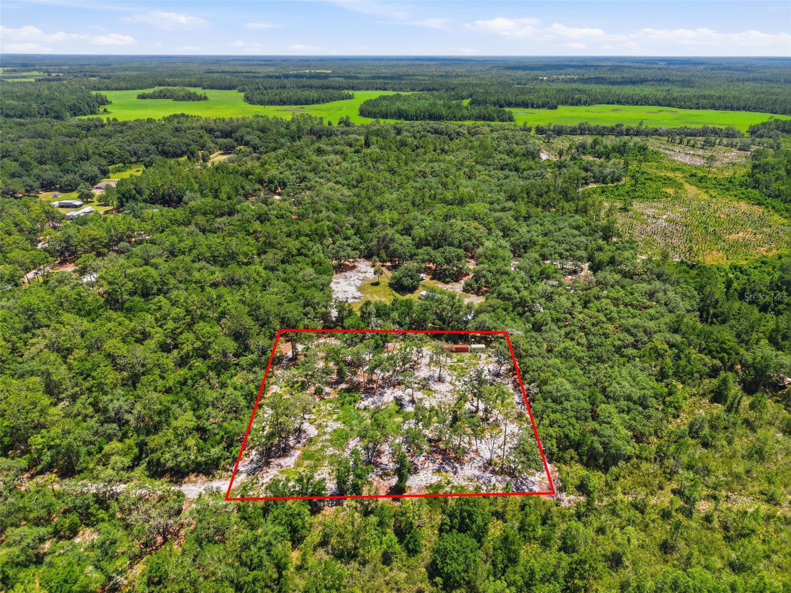 6900 Ne 195th Street Citra FL 32113 O6420971 image1