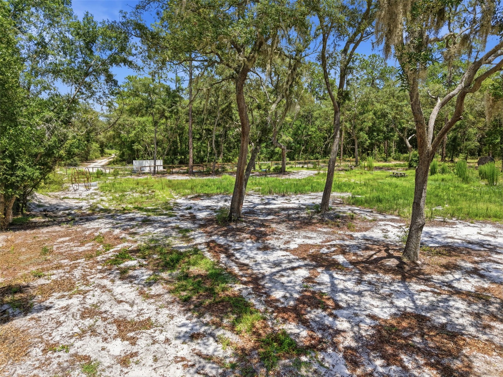 6900 Ne 195th Street Citra FL 32113 O6420971 image12