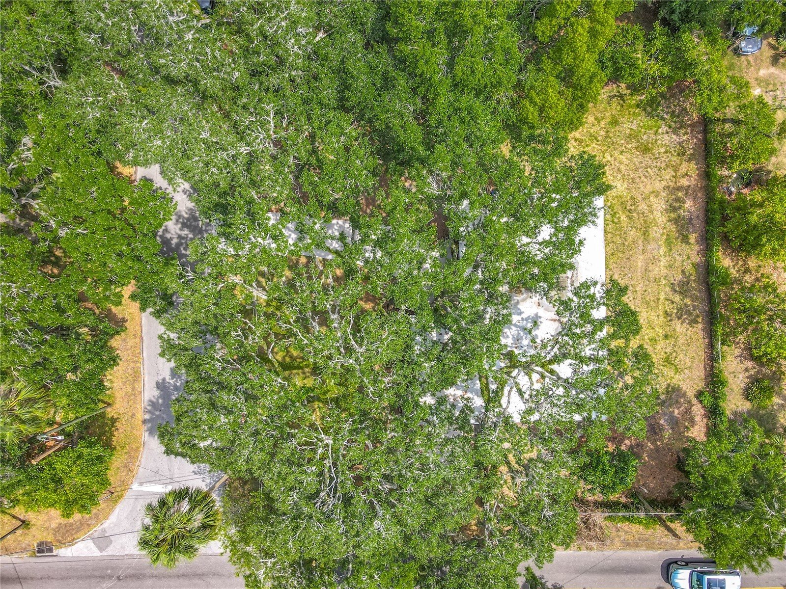 6901 N 19th Street Tampa FL 33610 TB8380846 image56