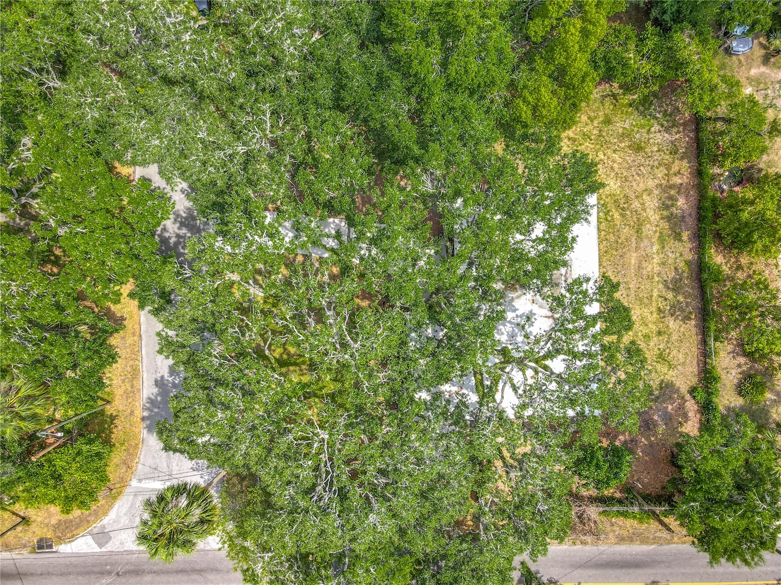 6901 N 19th Street Tampa FL 33610 TB8380846 image57