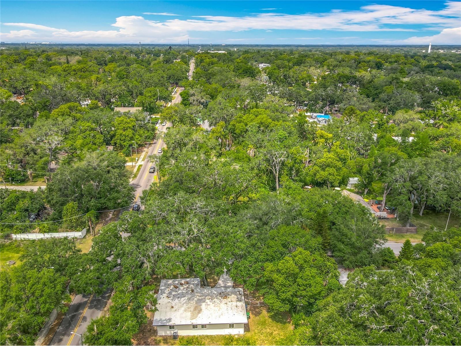 6901 N 19th Street Tampa FL 33610 TB8380846 image59