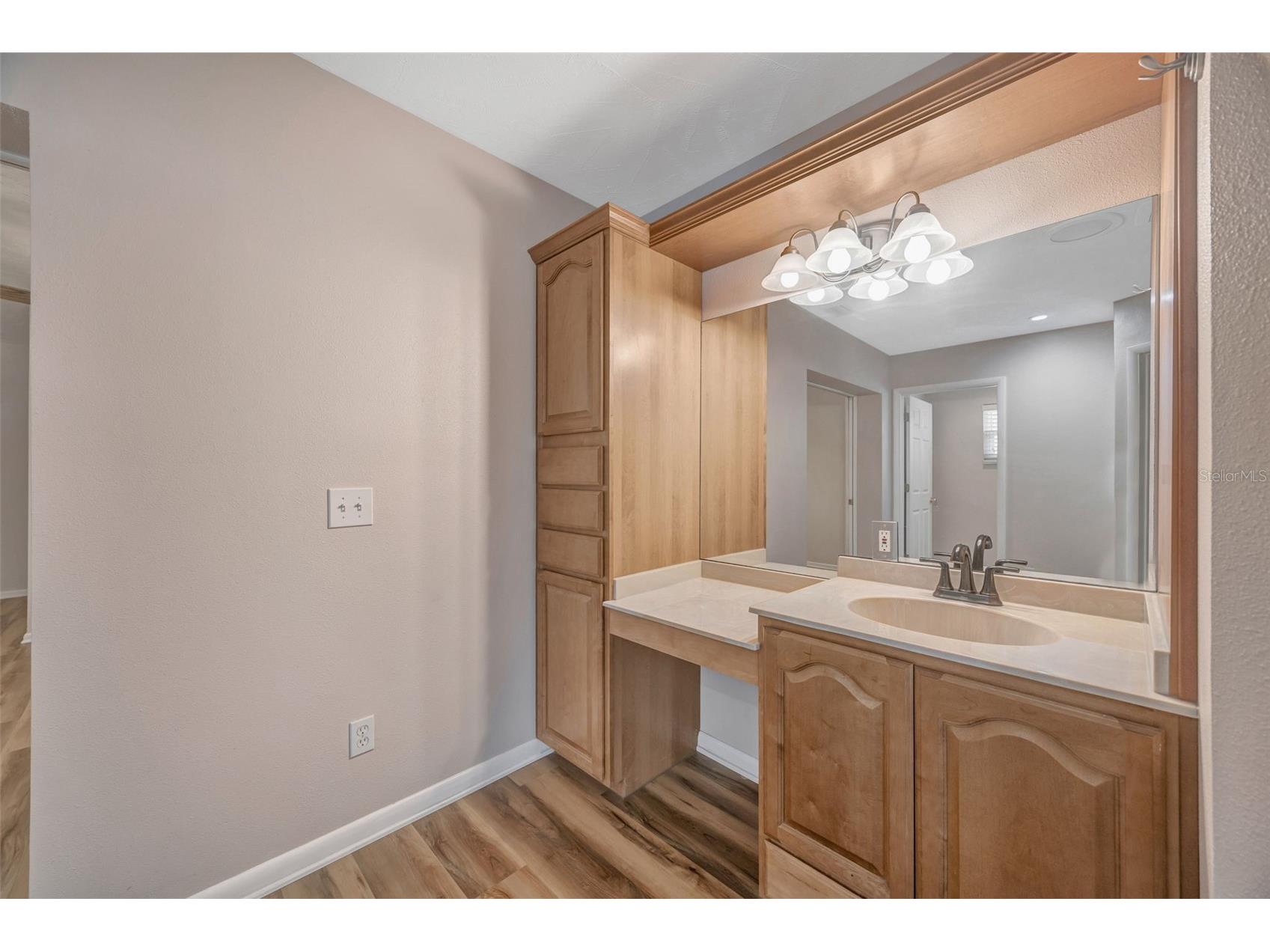 6902 Potts Road Riverview FL 33569 TB8480708 image41