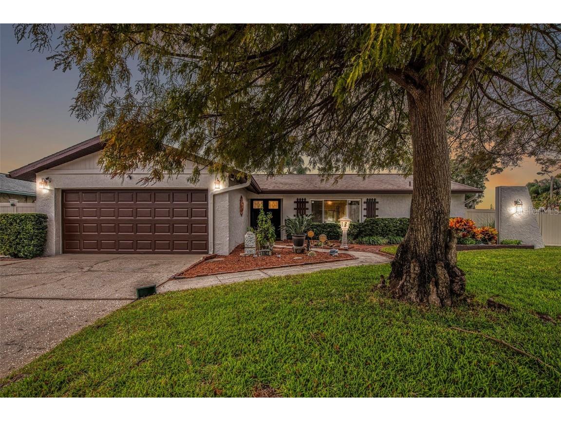 6903 Cedar Ridge Drive N Pinellas Park FL 33781 U8221192 image1