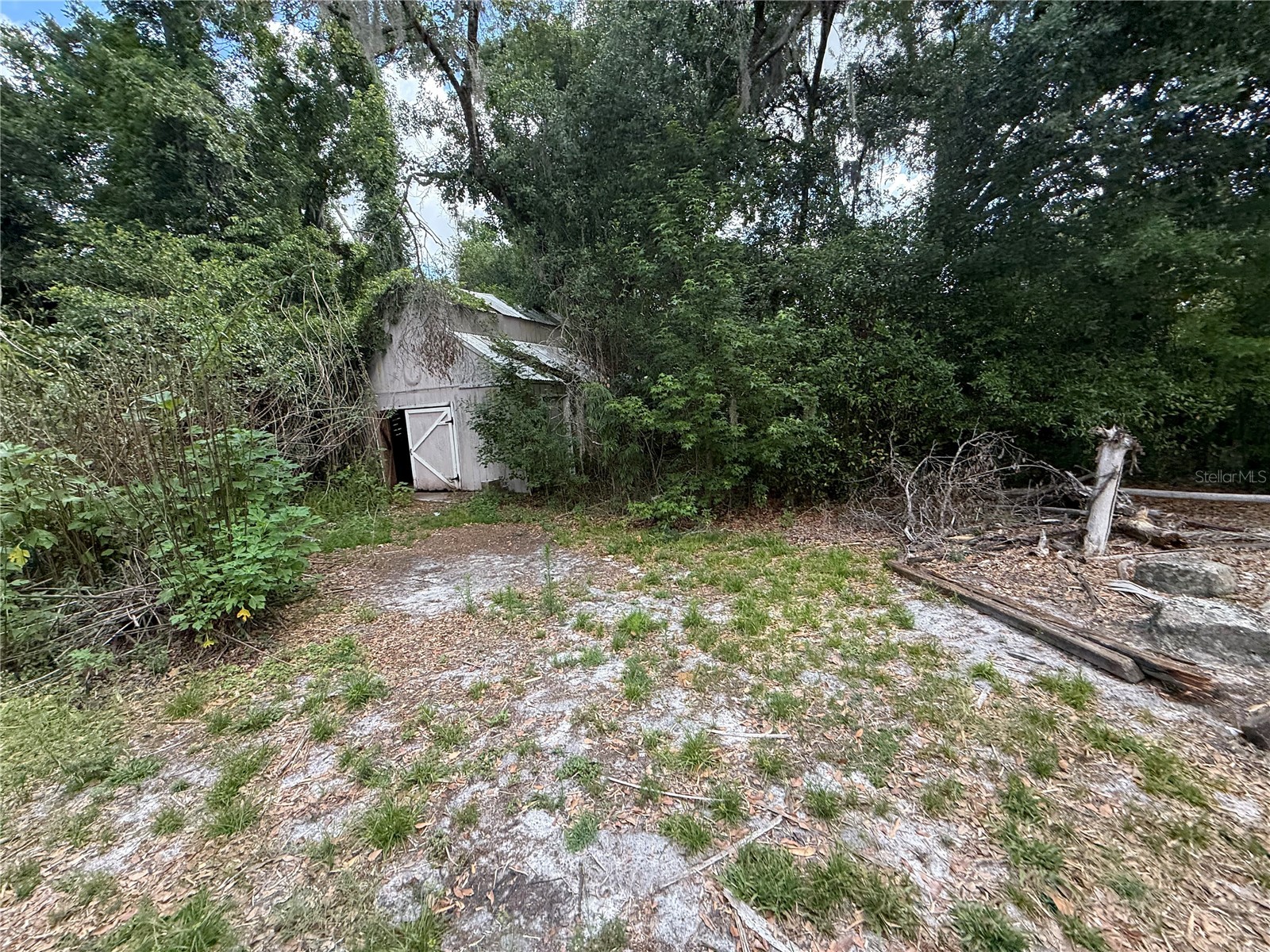 6904 Pinetree Lane E Lakeland FL 33811 TB8513092 image31