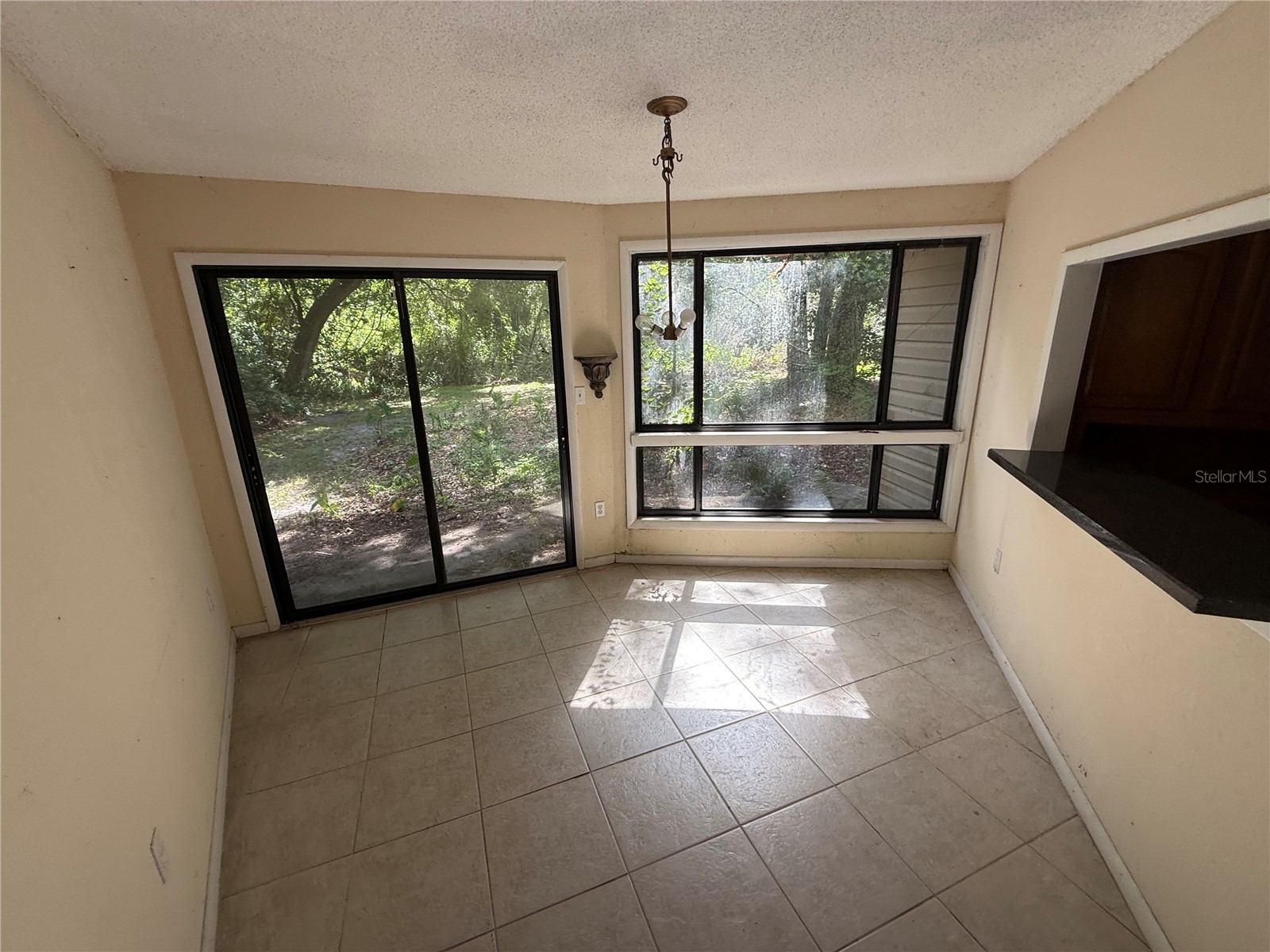 6904 Pinetree Lane E Lakeland FL 33811 TB8513092 image4