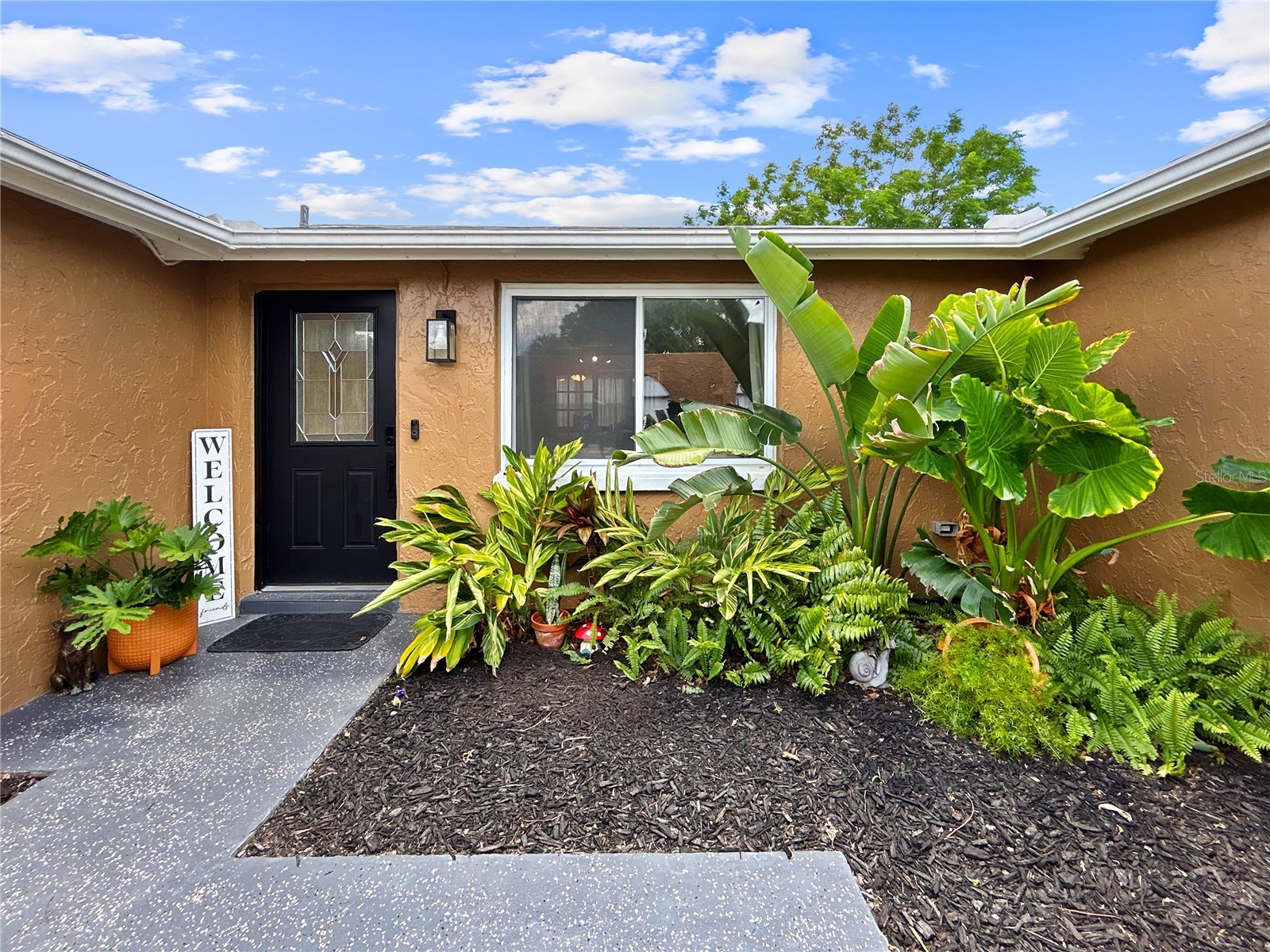 6904 Tierra Linda Street Port Richey FL 34668 TB8510532 image2