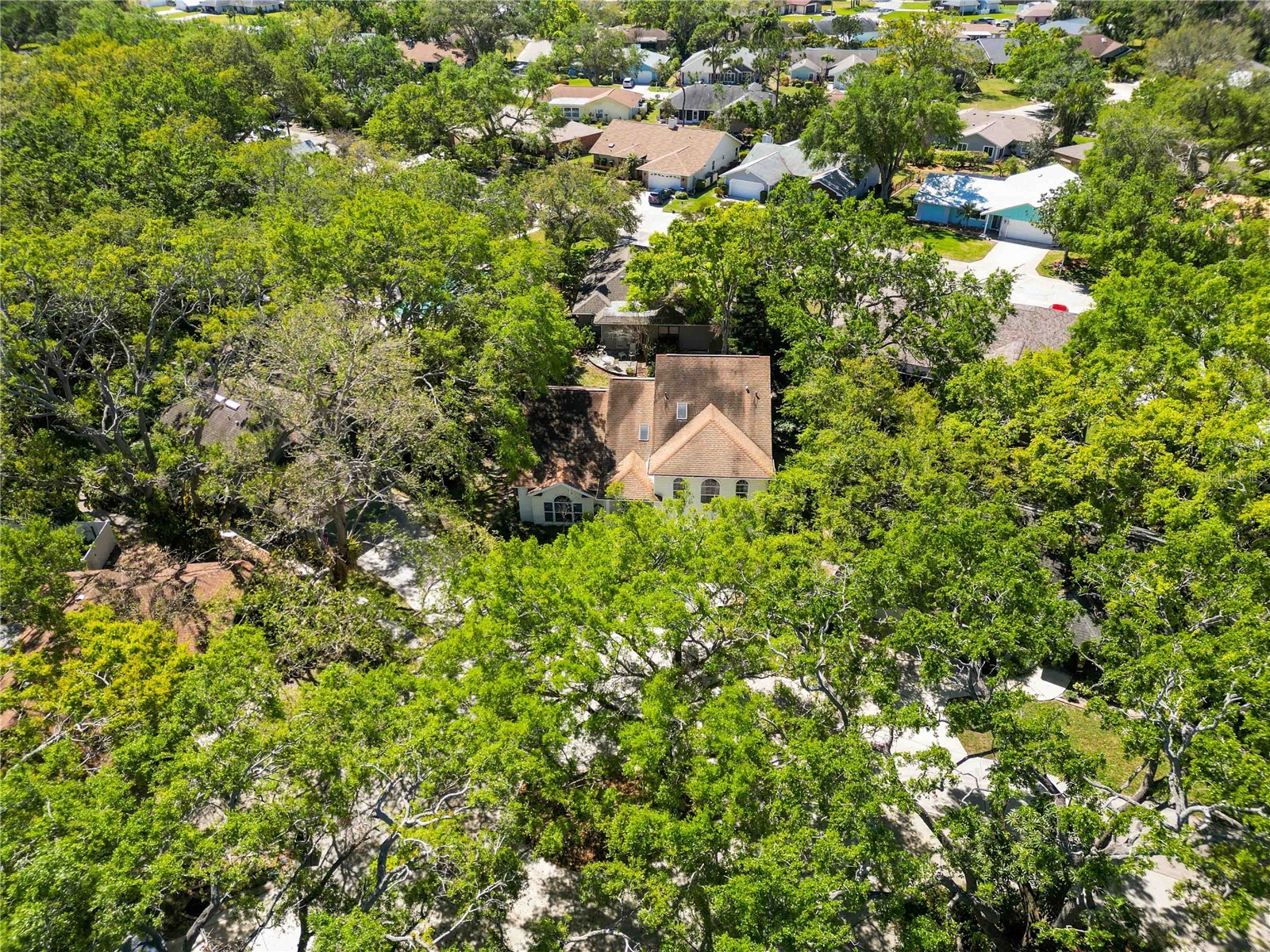 6905 Arbor Oaks Ct Bradenton FL 34209 A4681049 image29