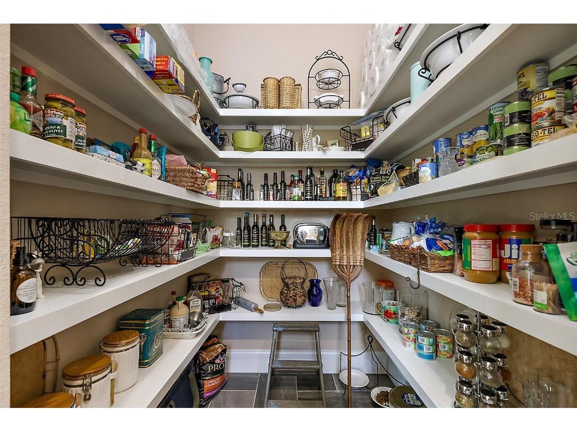 6905 Clayton Street Mount Dora FL 32757 G5096277 image28