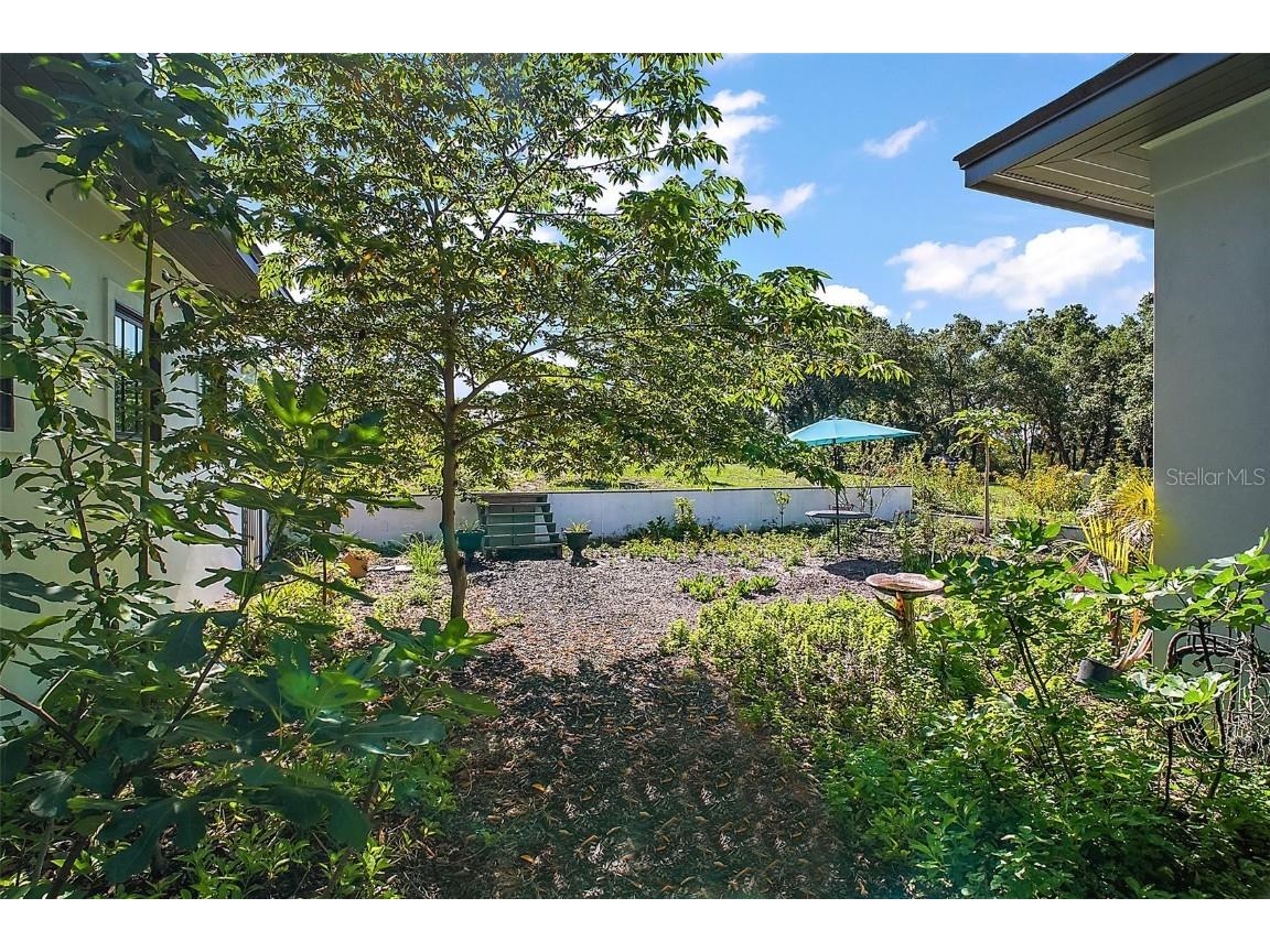 6905 Clayton Street Mount Dora FL 32757 G5096277 image7