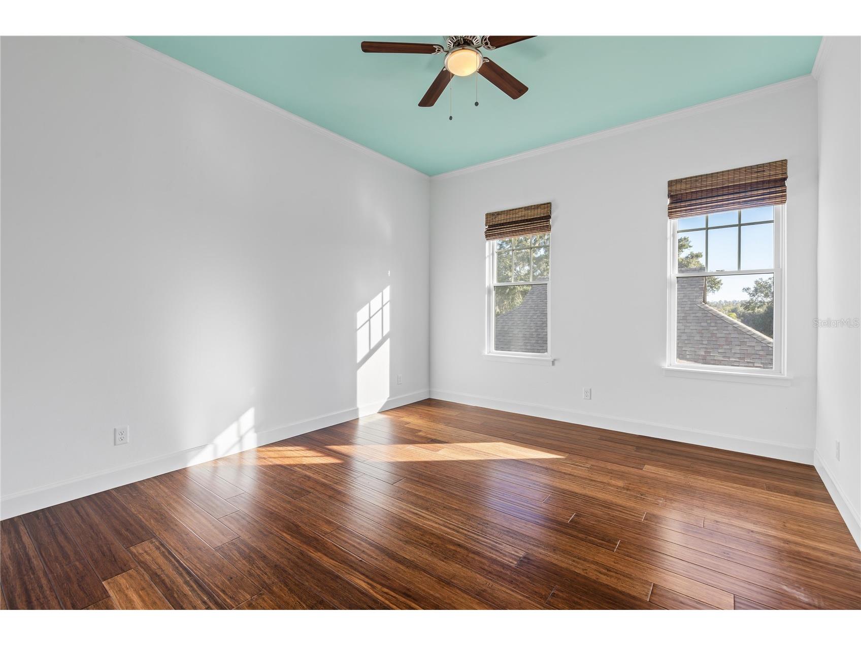 6905 Clayton Street Mount Dora FL 32757 O6376647 image36