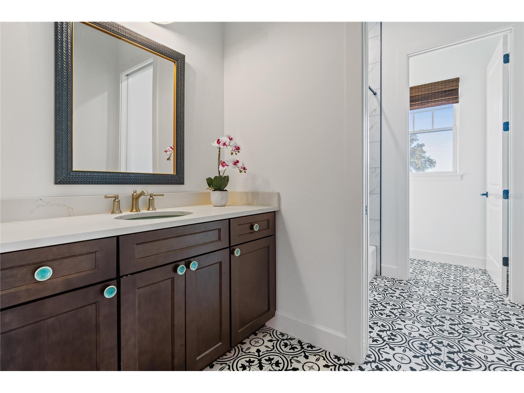 6905 Clayton Street Mount Dora FL 32757 O6376647 image37