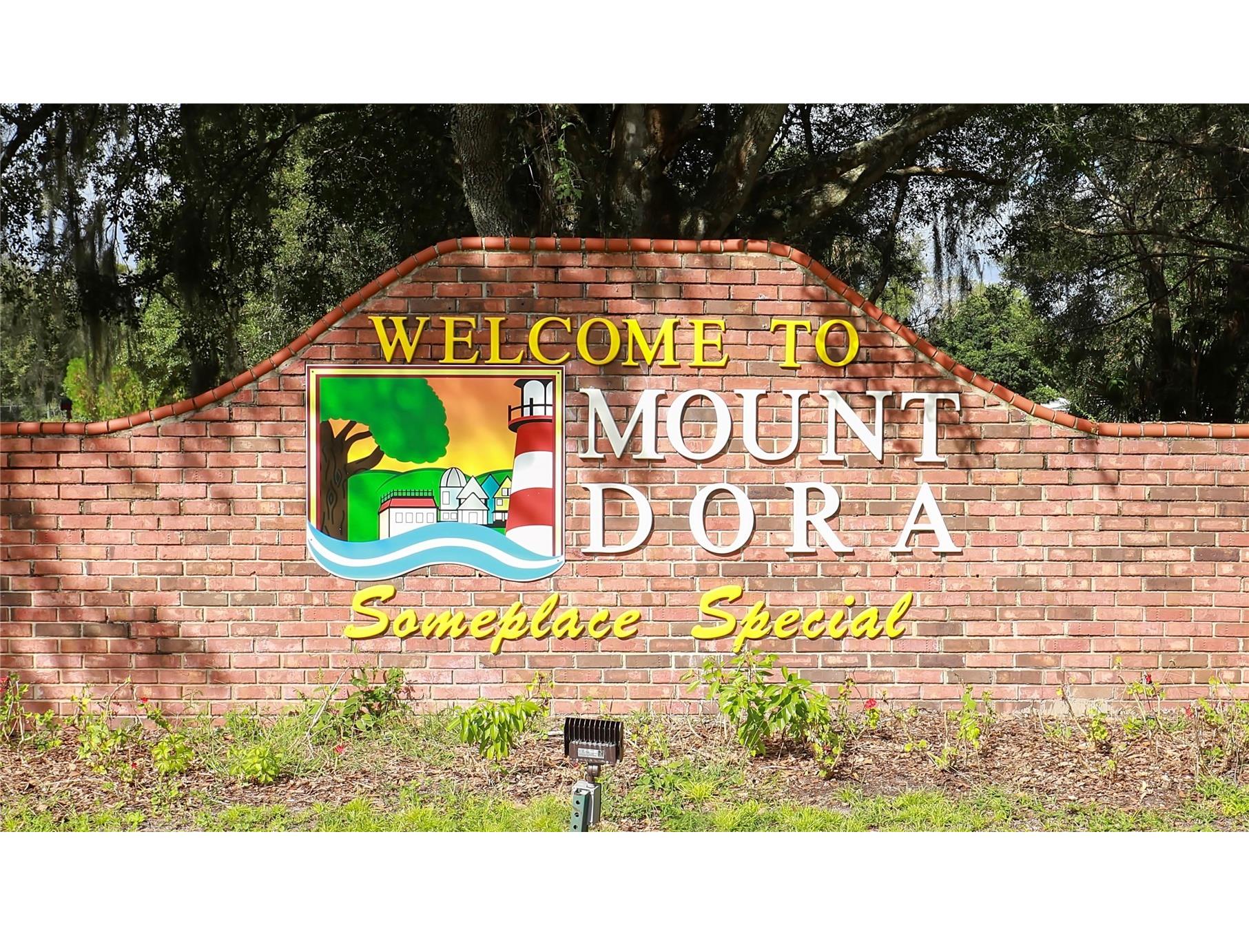 6905 Clayton Street Mount Dora FL 32757 O6376647 image45