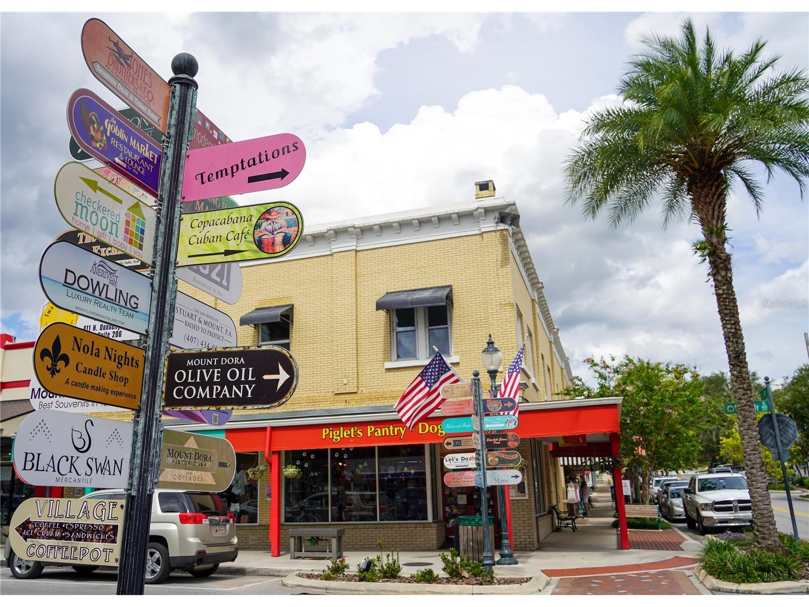 6905 Clayton Street Mount Dora FL 32757 O6376647 image46