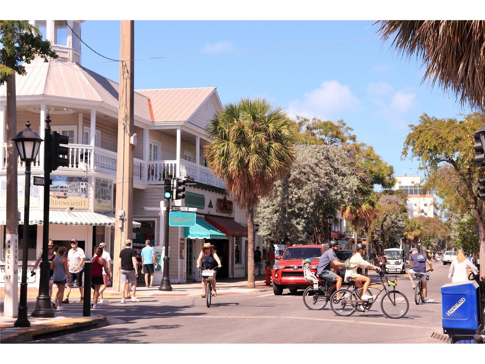 6905 Clayton Street Mount Dora FL 32757 O6376647 image47