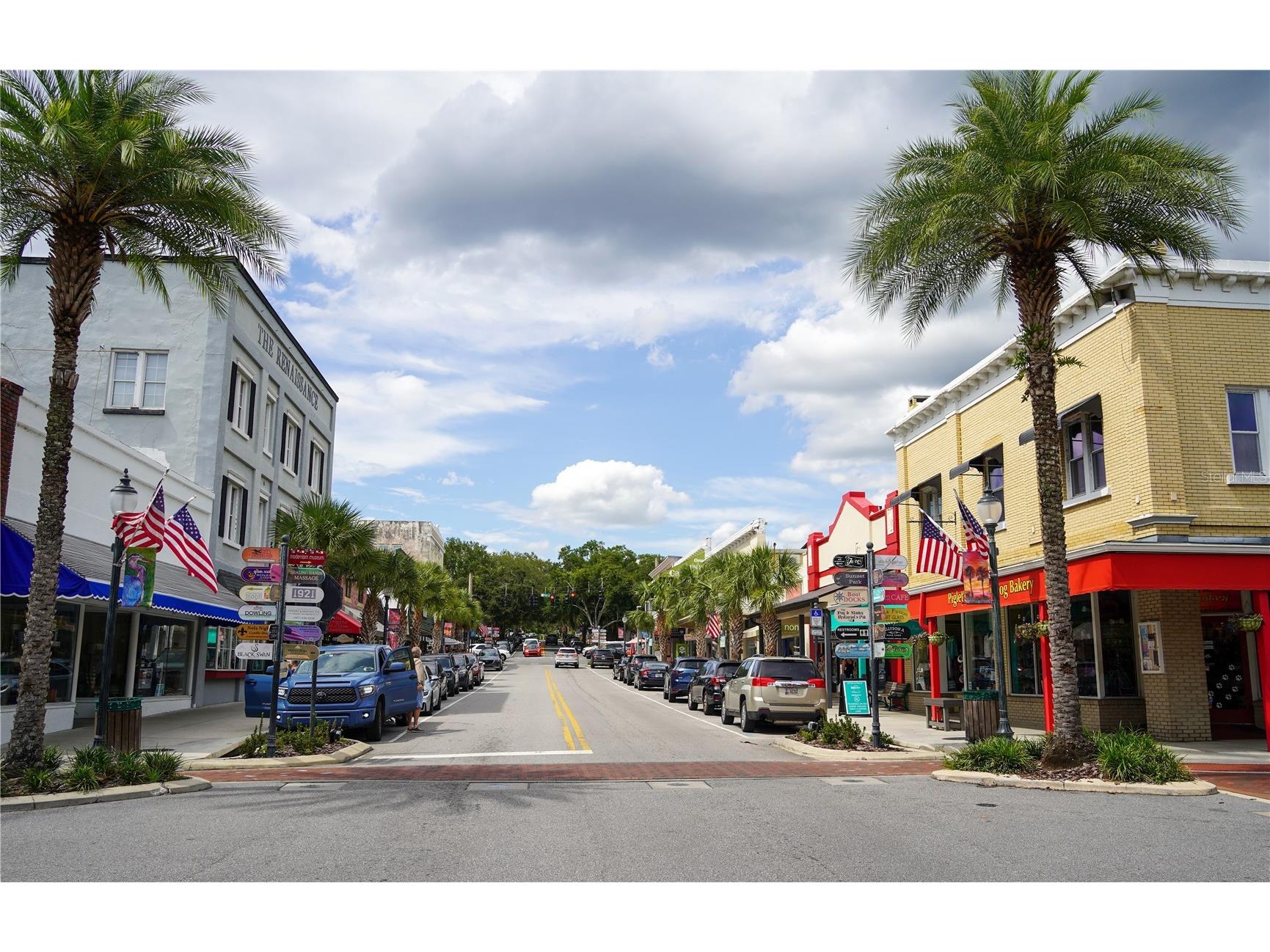 6905 Clayton Street Mount Dora FL 32757 O6376647 image48