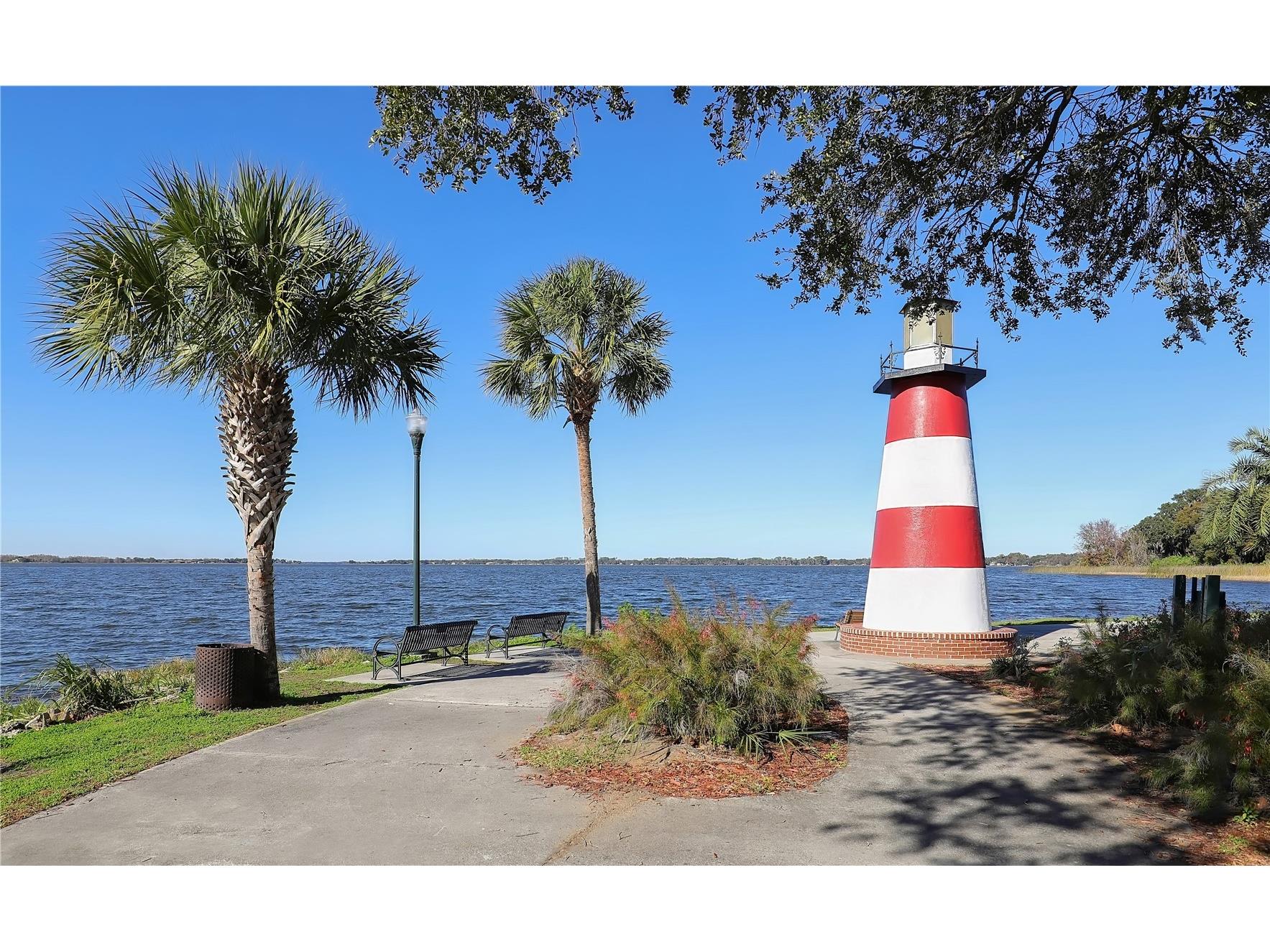 6905 Clayton Street Mount Dora FL 32757 O6376647 image49