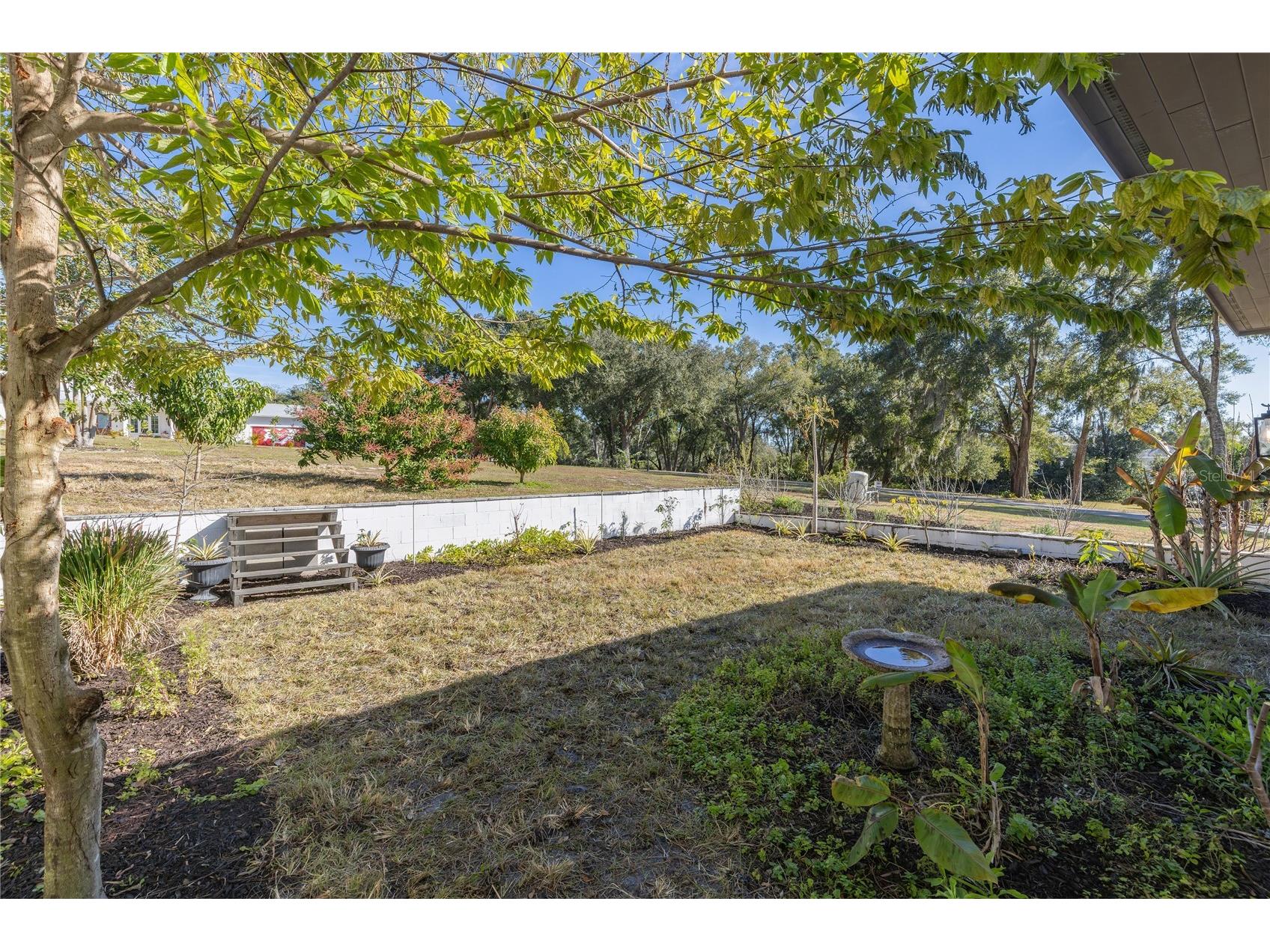 6905 Clayton Street Mount Dora FL 32757 O6376647 image7