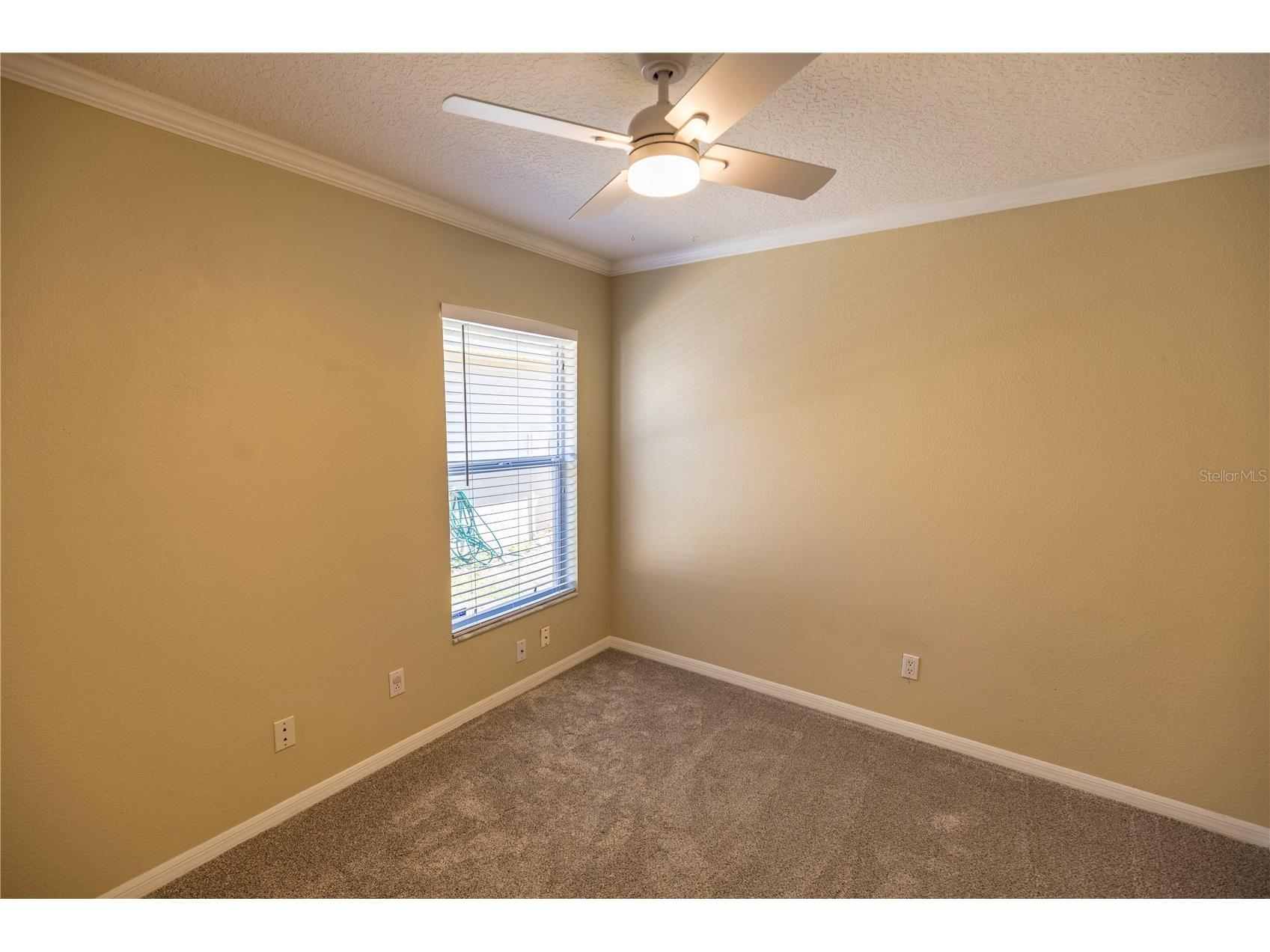 6905 Freeport Road Riverview FL 33578 TB8502407 image18