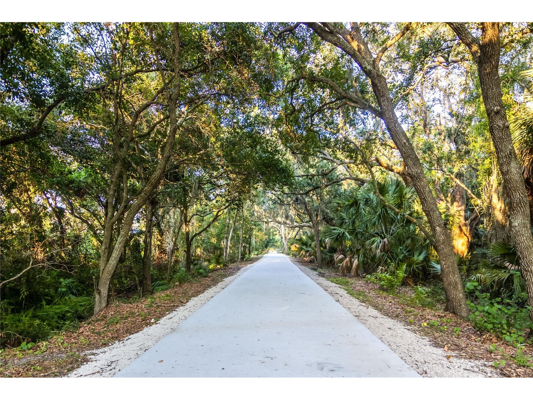 6905 Freeport Road Riverview FL 33578 TB8502407 image33
