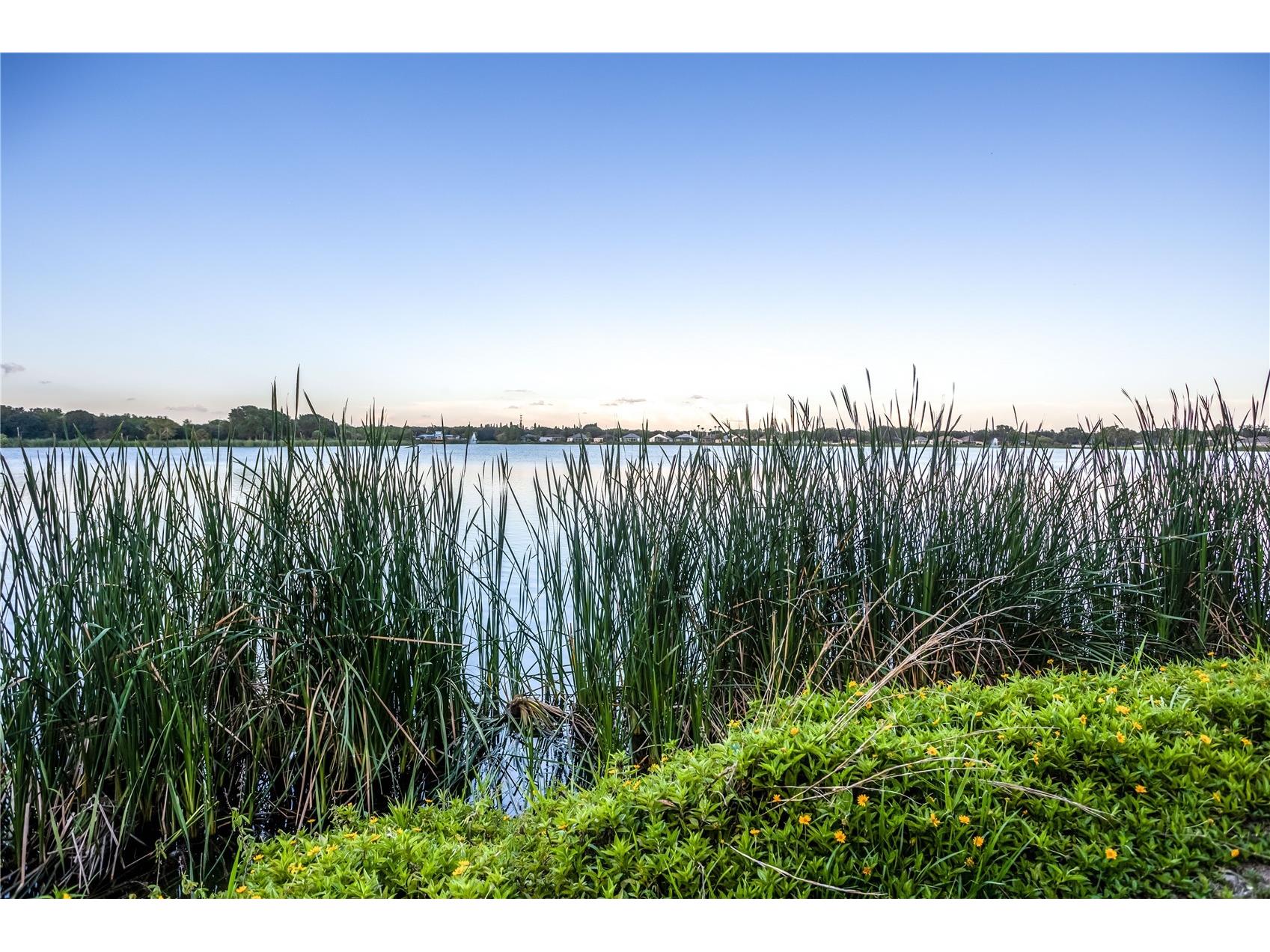 6905 Freeport Road Riverview FL 33578 TB8502407 image46