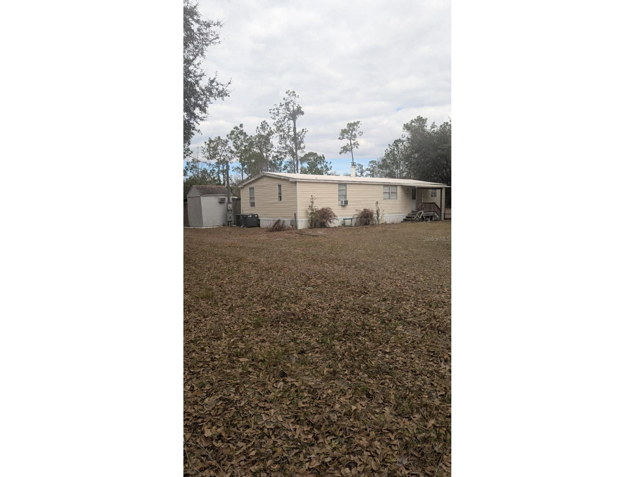 6905 Pearson Lane Wesley Chapel FL 33544 W7883265 image1