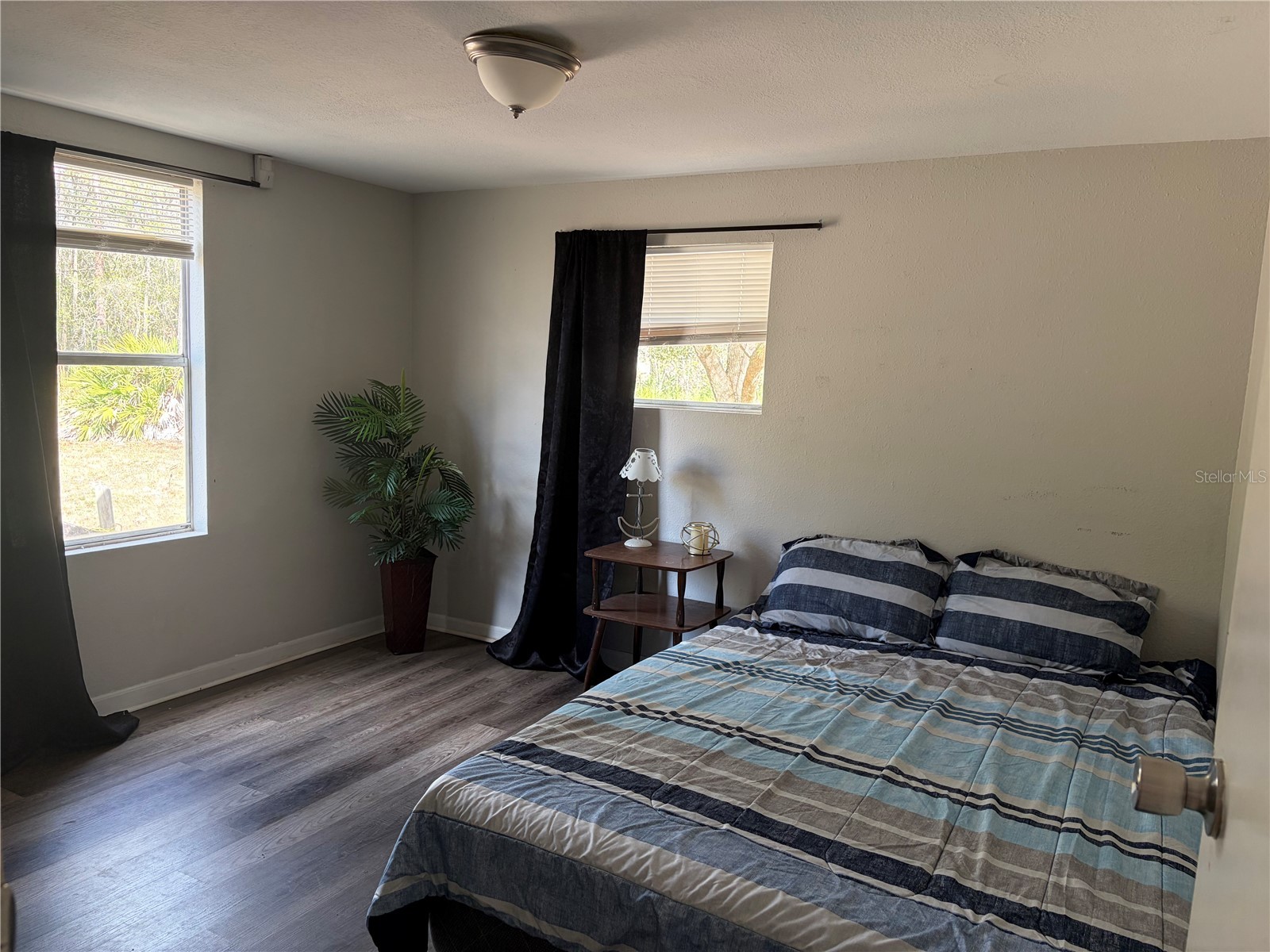 6905 Pearson Lane Wesley Chapel FL 33544 W7883265 image10