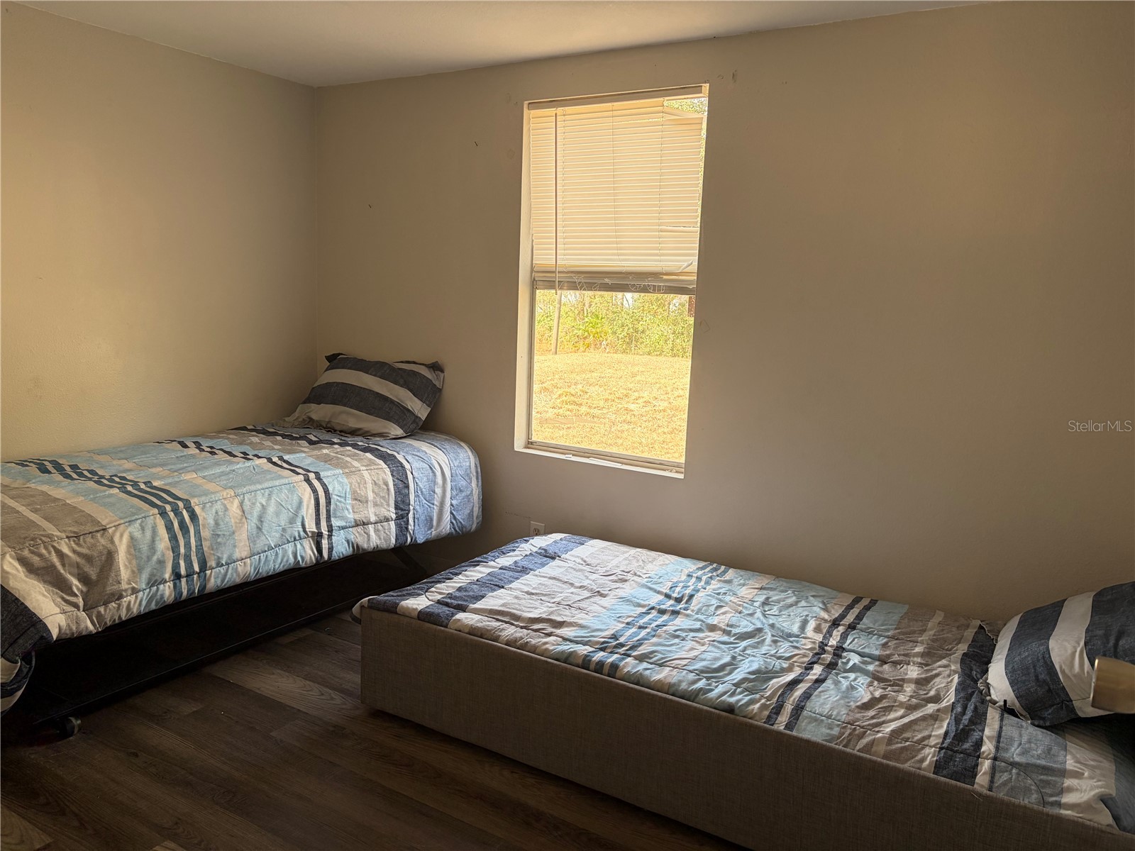 6905 Pearson Lane Wesley Chapel FL 33544 W7883265 image11