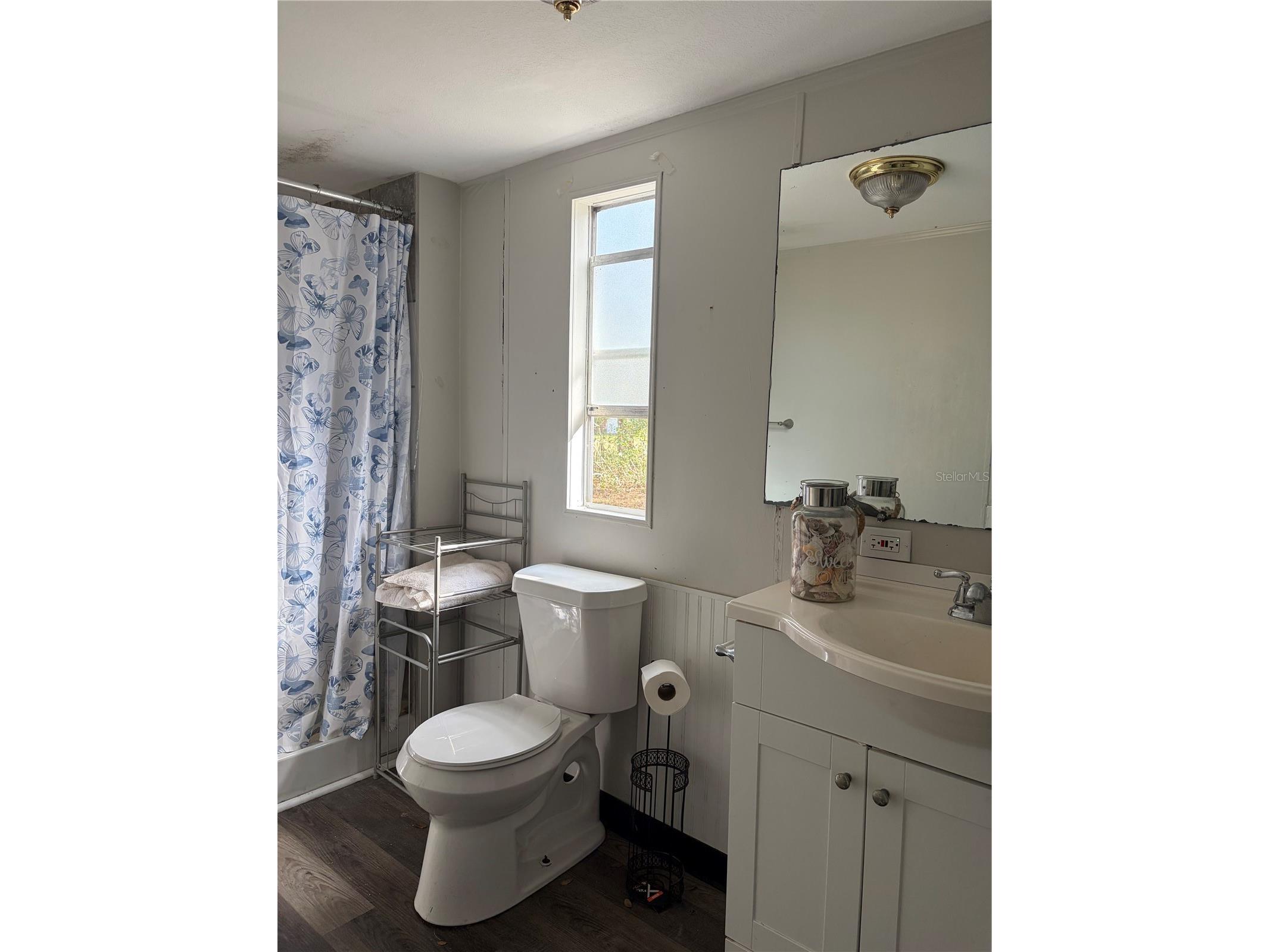 6905 Pearson Lane Wesley Chapel FL 33544 W7883265 image14