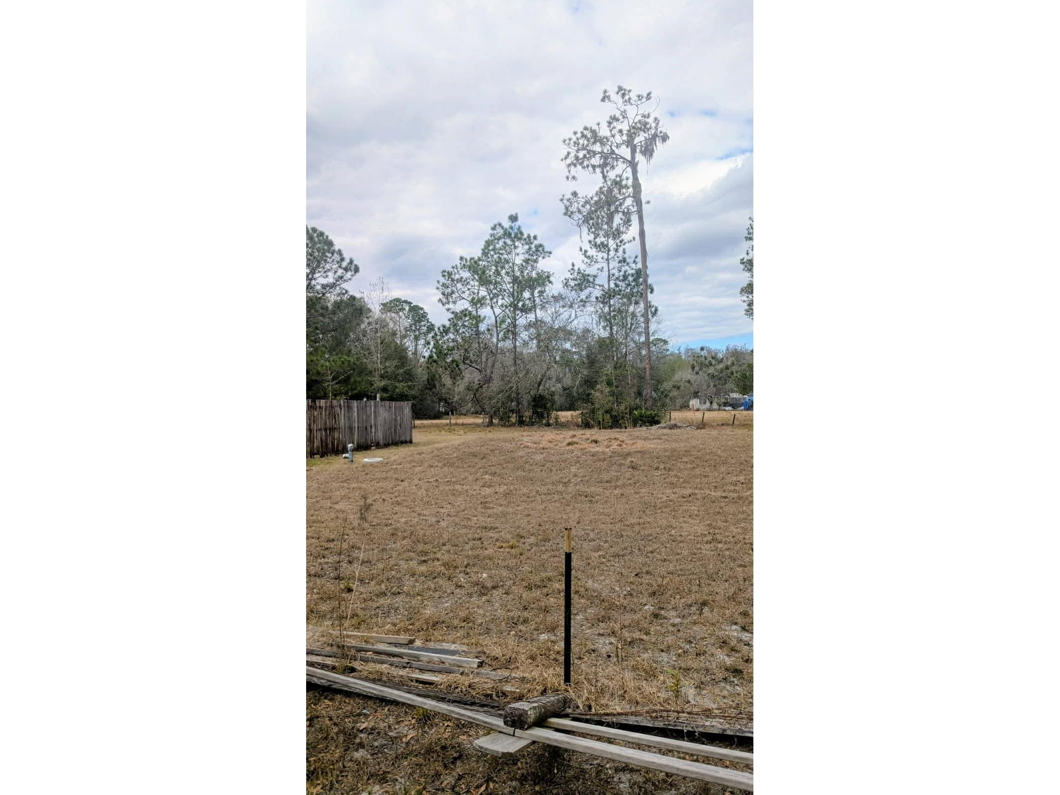 6905 Pearson Lane Wesley Chapel FL 33544 W7883265 image2