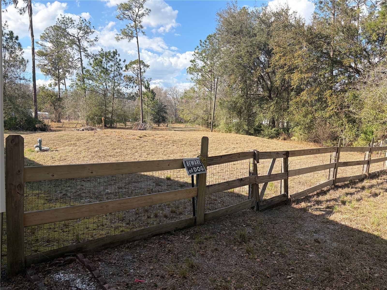 6905 Pearson Lane Wesley Chapel FL 33544 W7883265 image25