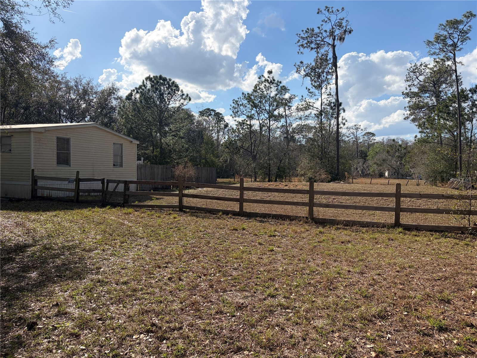 6905 Pearson Lane Wesley Chapel FL 33544 W7883265 image27