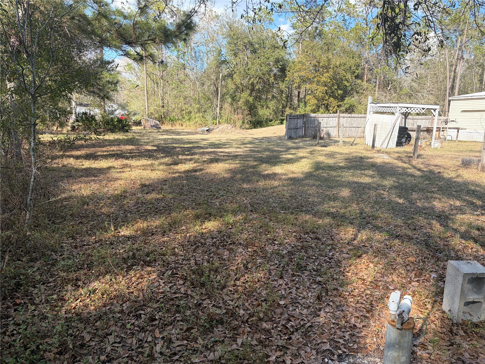 6905 Pearson Lane Wesley Chapel FL 33544 W7883265 image28