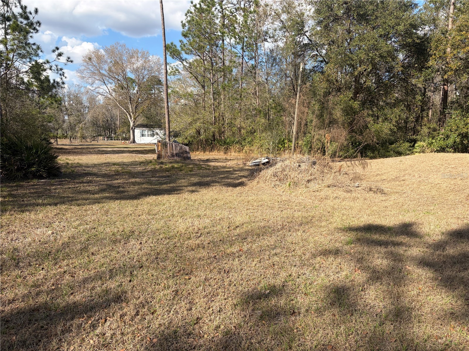 6905 Pearson Lane Wesley Chapel FL 33544 W7883265 image31
