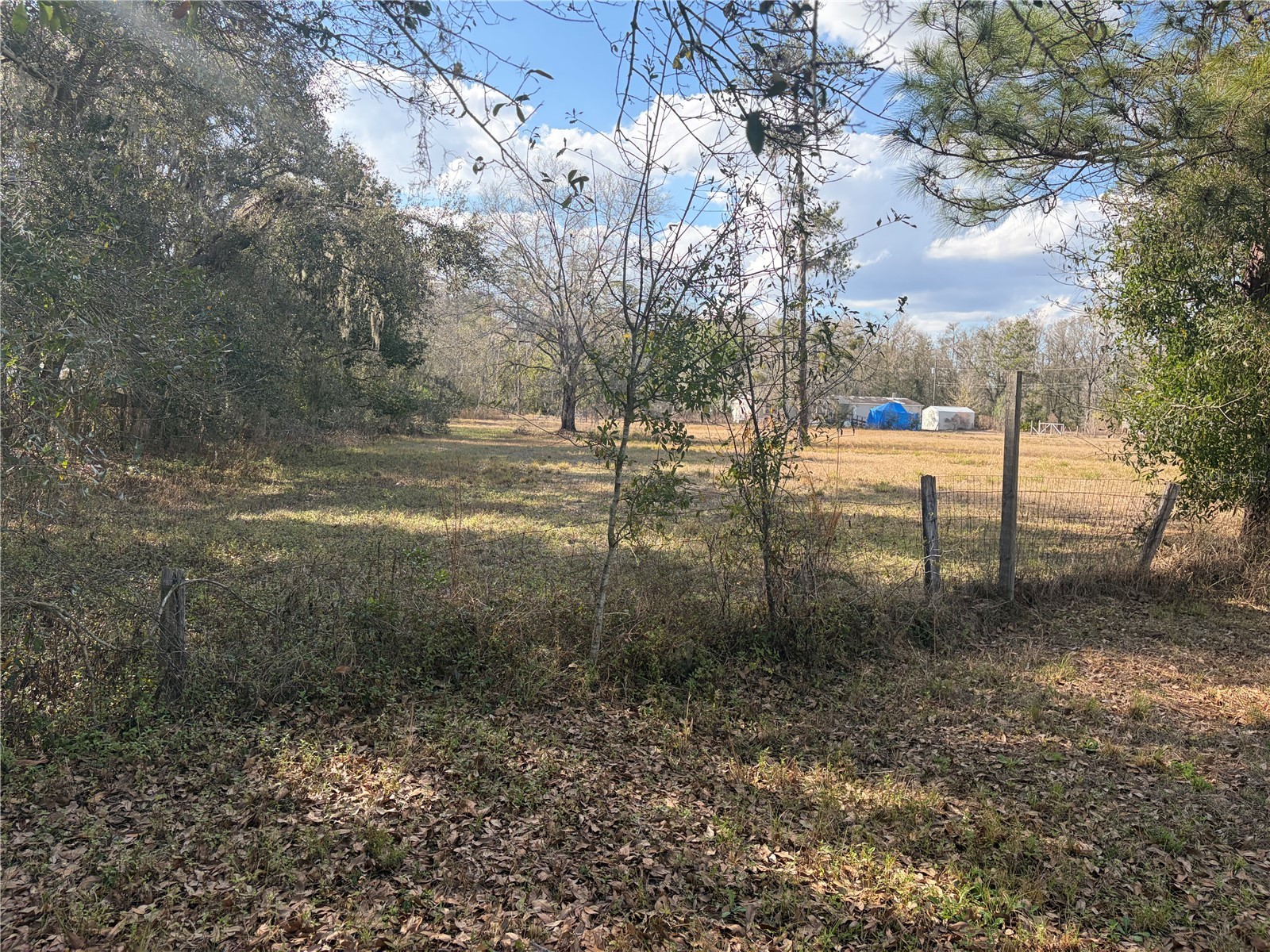 6905 Pearson Lane Wesley Chapel FL 33544 W7883265 image32