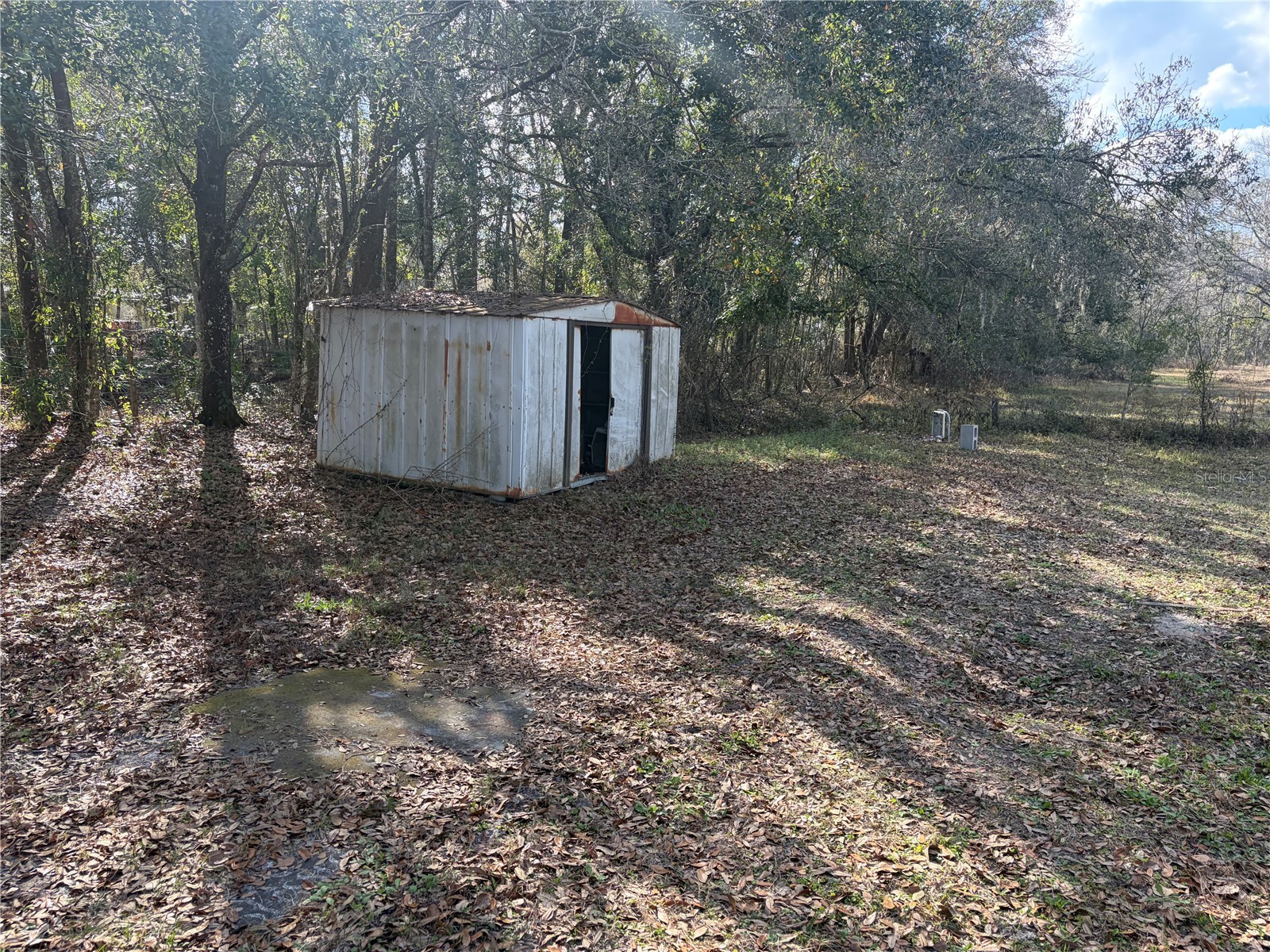 6905 Pearson Lane Wesley Chapel FL 33544 W7883265 image33