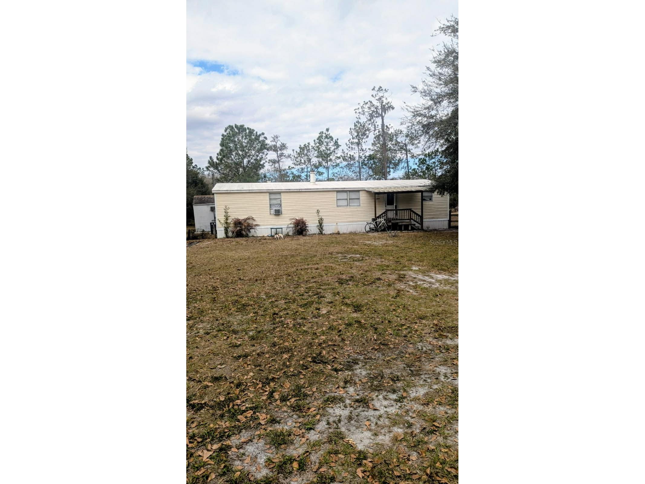 6905 Pearson Lane Wesley Chapel FL 33544 W7883265 image7