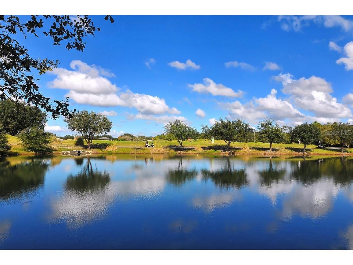 6905 Pine Valley Street Bradenton FL 34202 - BRADEN RIVER A4656739 image53