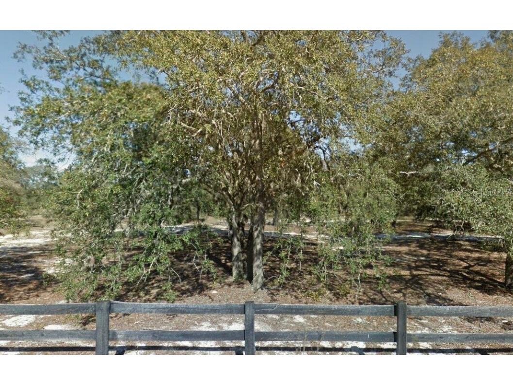 6905 S Kitiwake Point Lecanto FL 34461 T3456814 image1