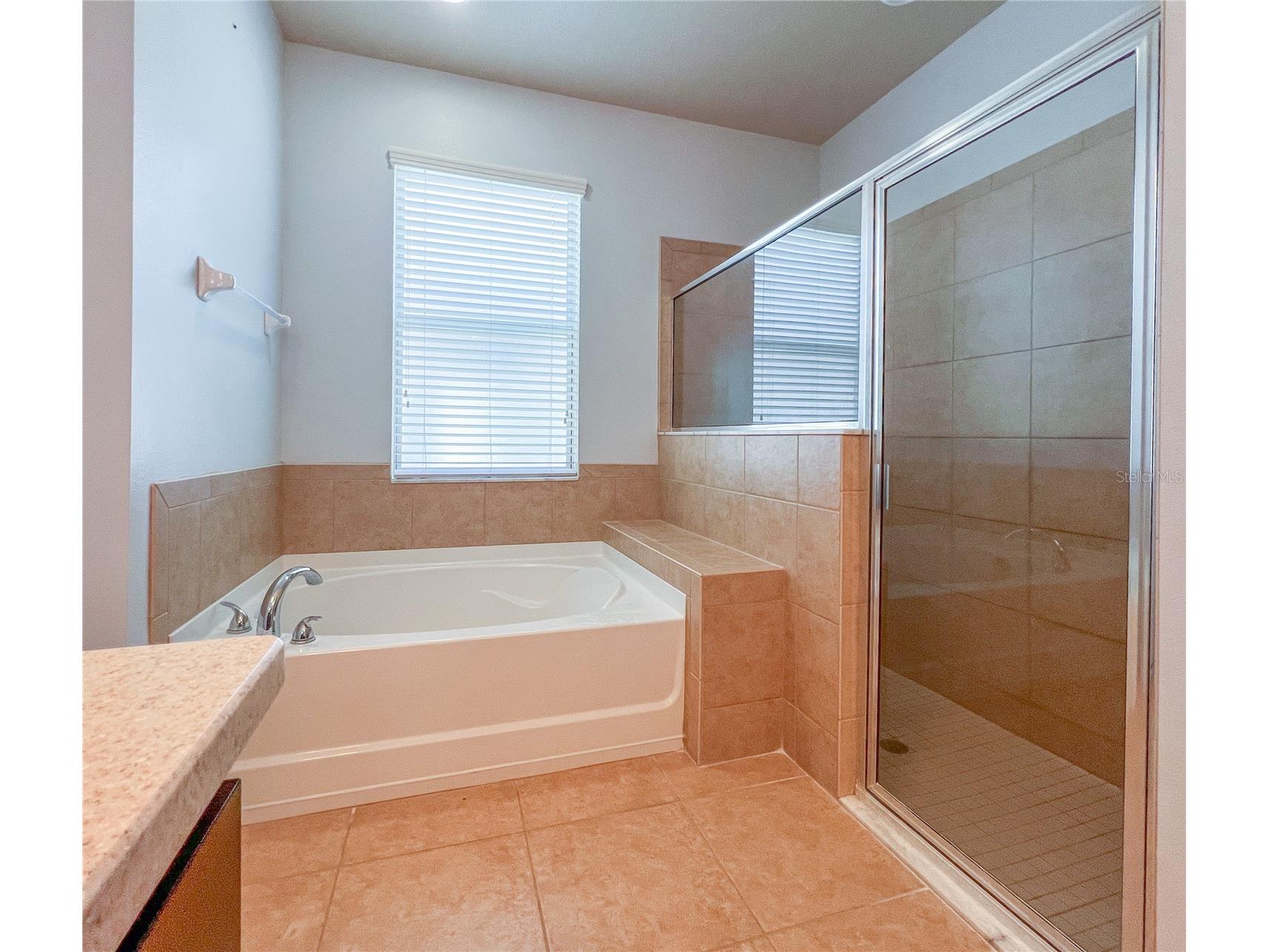 6906 Boulder Run Loop Wesley Chapel FL 33545 TB8512148 image18