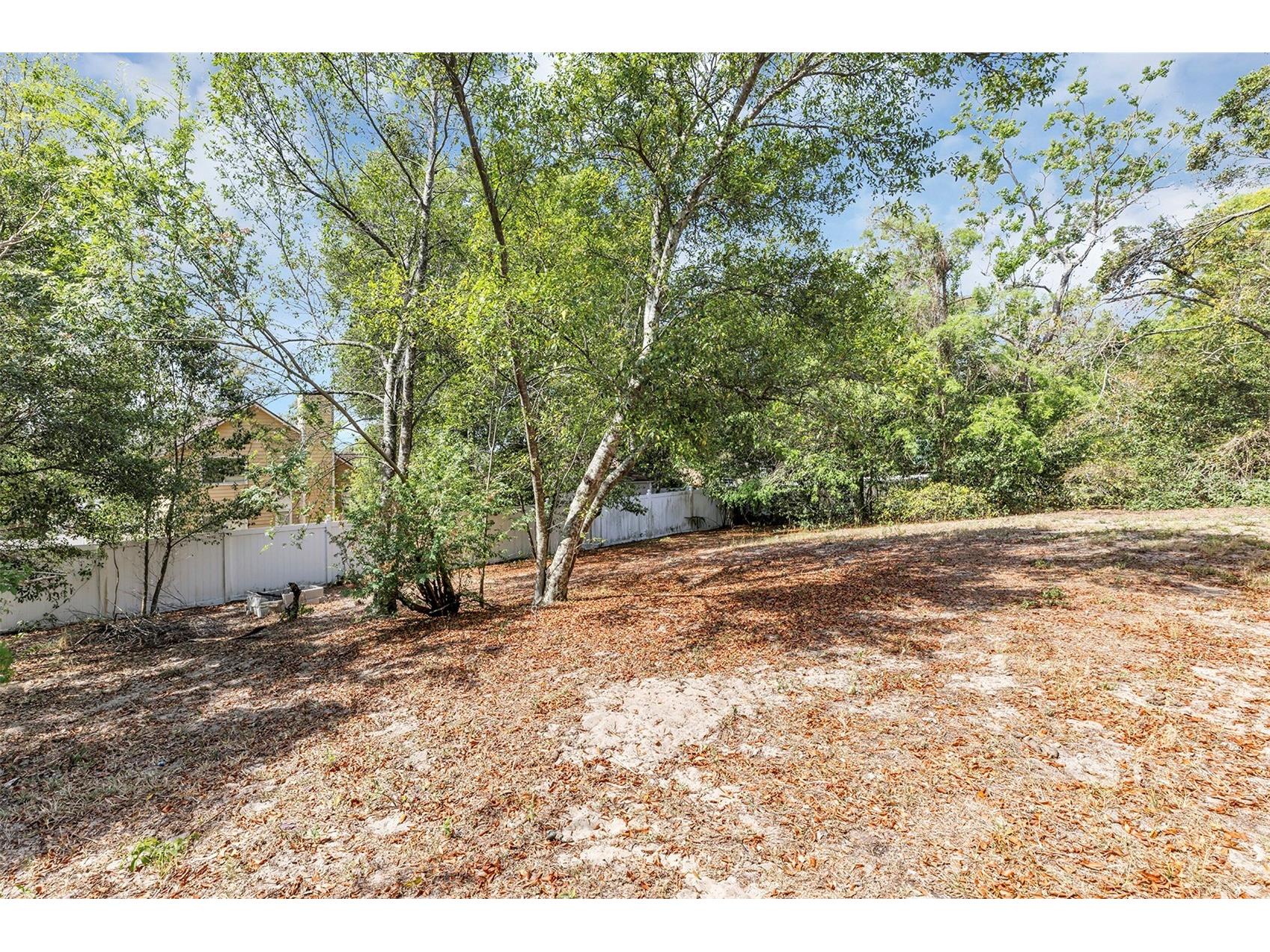 6906 Colony Oaks Lane Orlando FL 32818 O6301494 image21