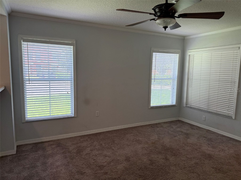 6907 Marble Fawn Place Riverview FL 33578 TB8418869 image4