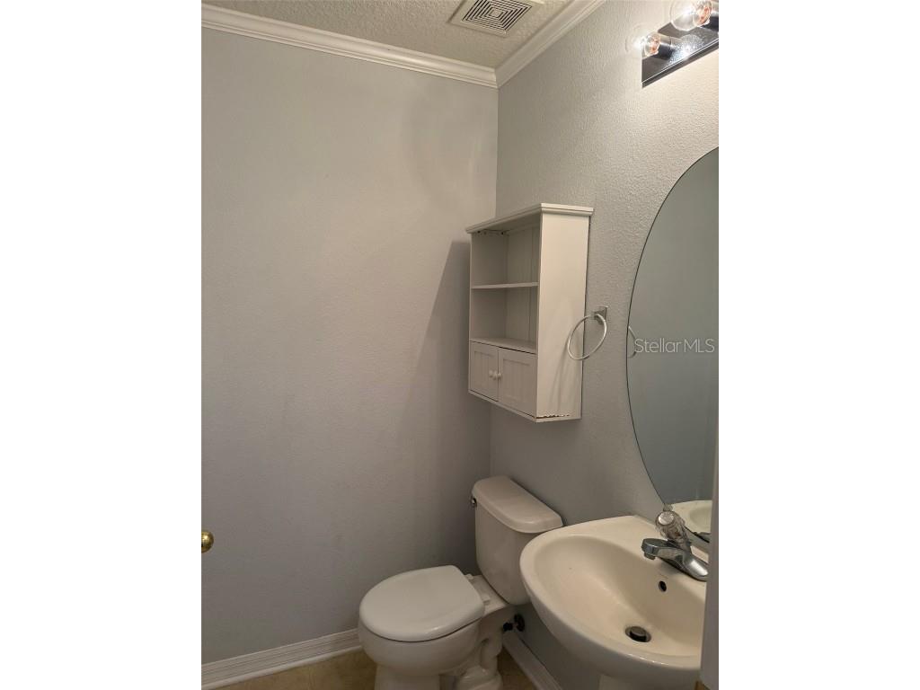 6907 Marble Fawn Place Riverview FL 33578 TB8418869 image5