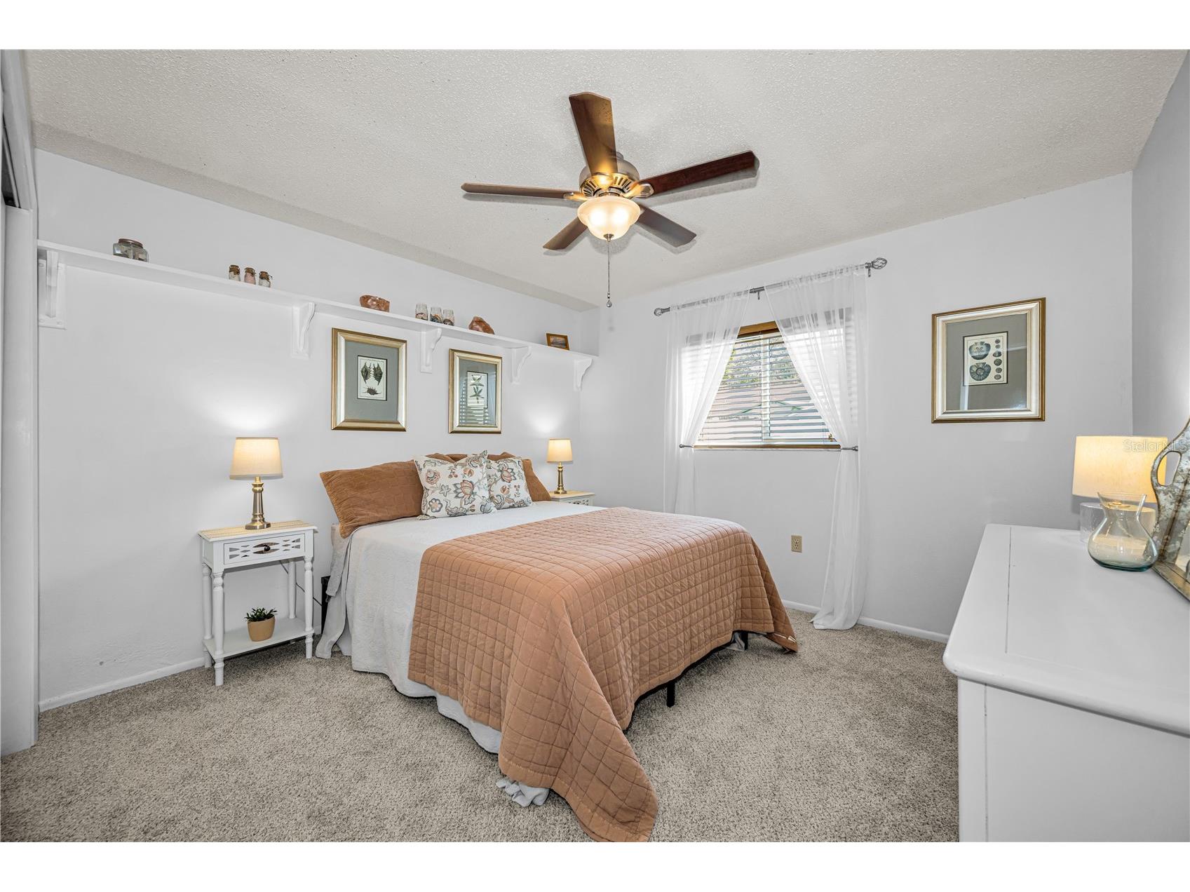 6907 Oldgate Circle New Port Richey FL 34655 TB8513752 image24