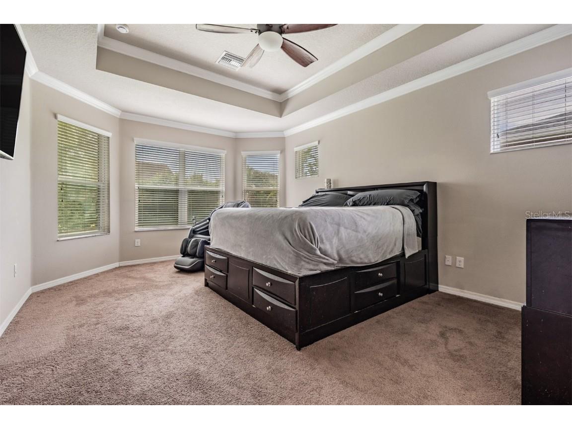 6908 Covington Stone Avenue Apollo Beach FL 33572 TB8442527 image21